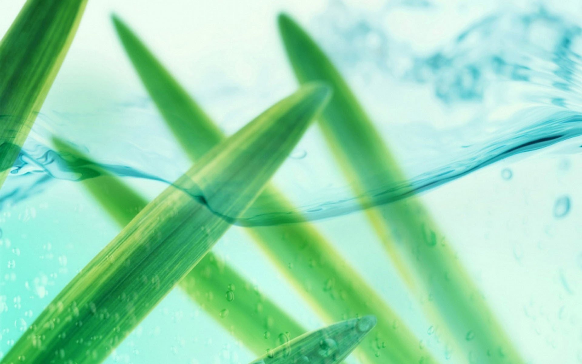 小清新,清新淡雅