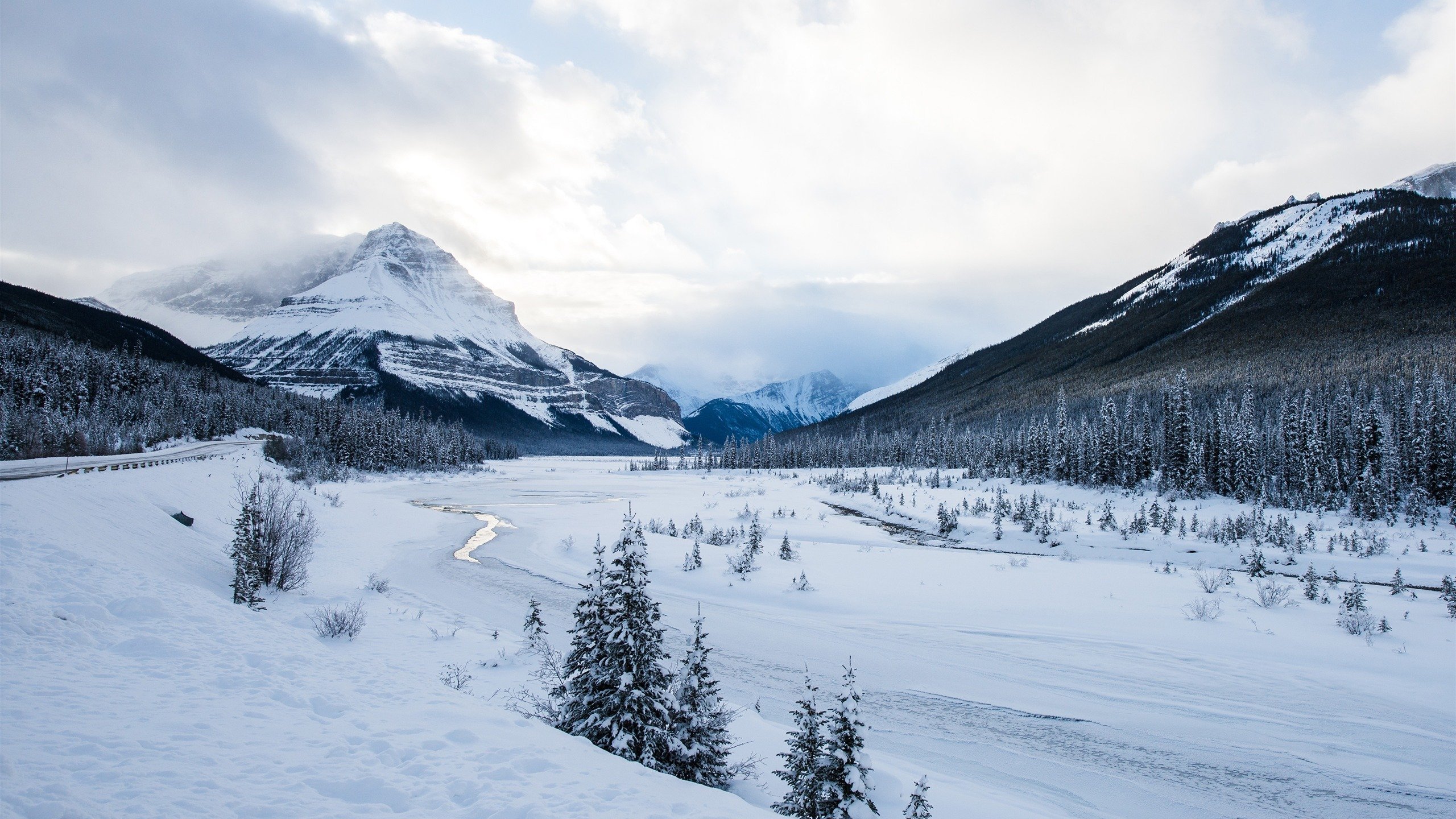 风景,冰天雪地,雪景