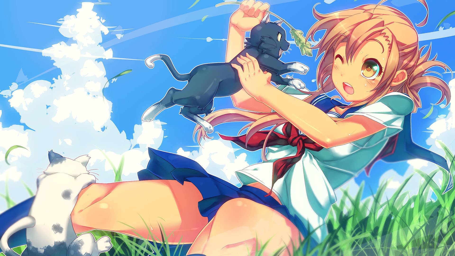 动漫,猫愿三角恋