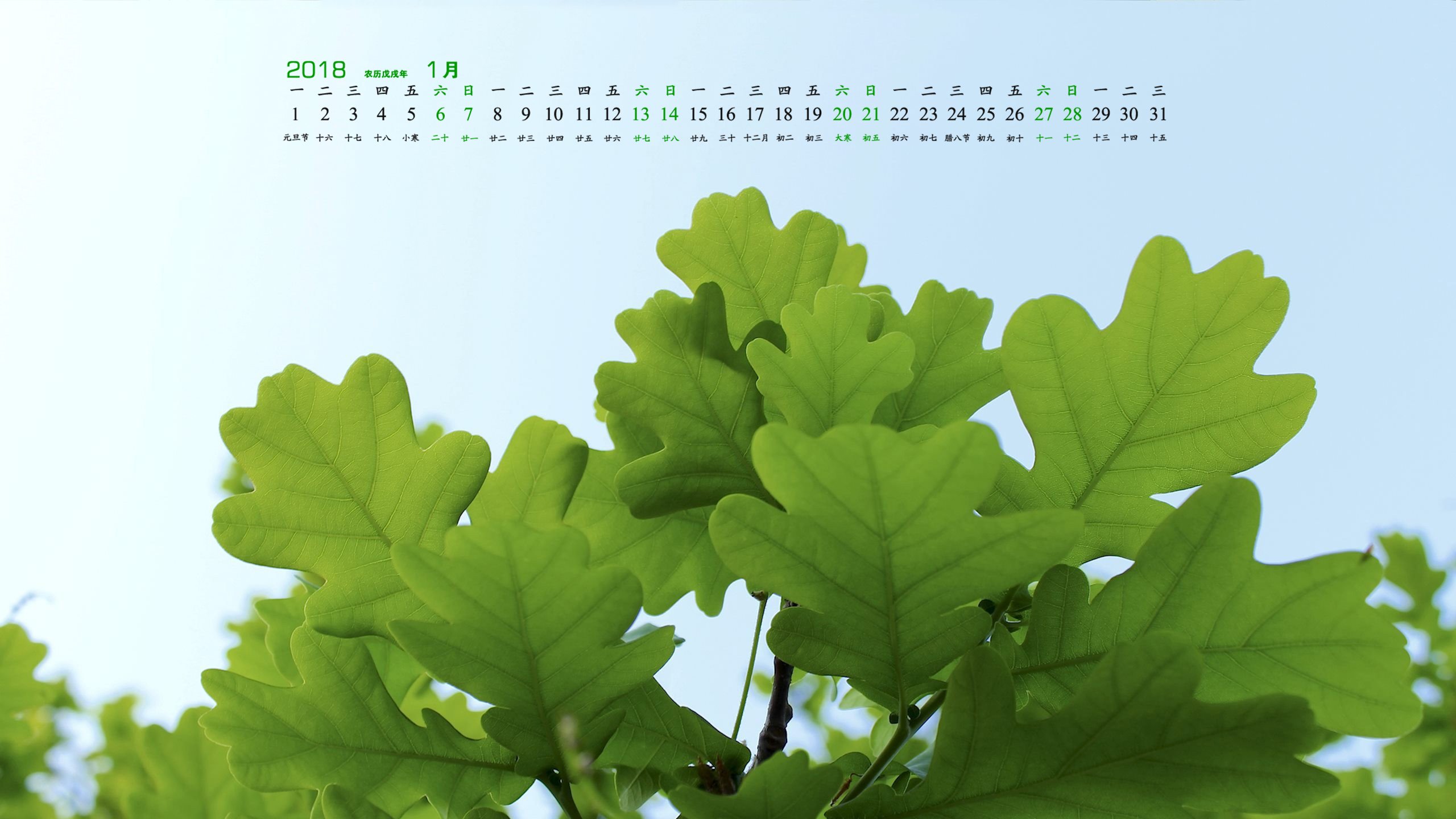 月历,2018年1月