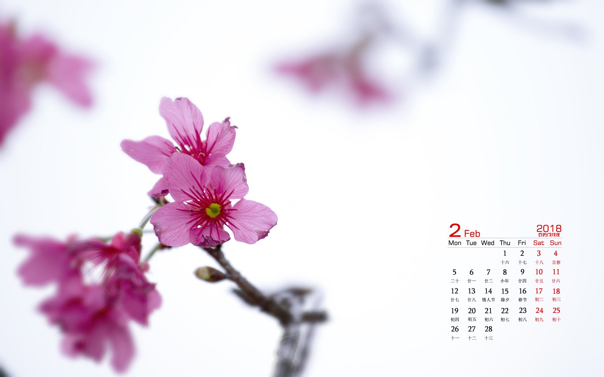 月历,2018年2月