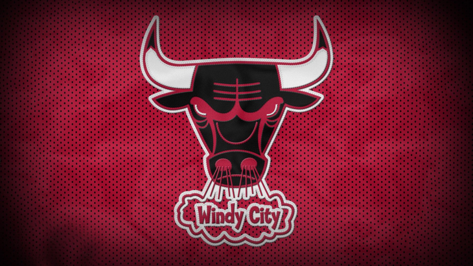 体育,篮球,公牛队