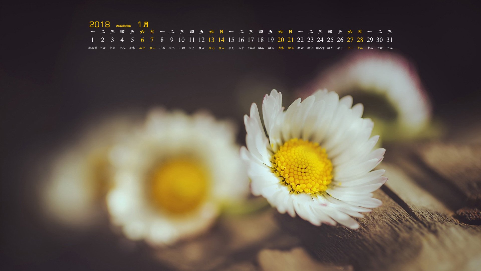 月历,2018年1月