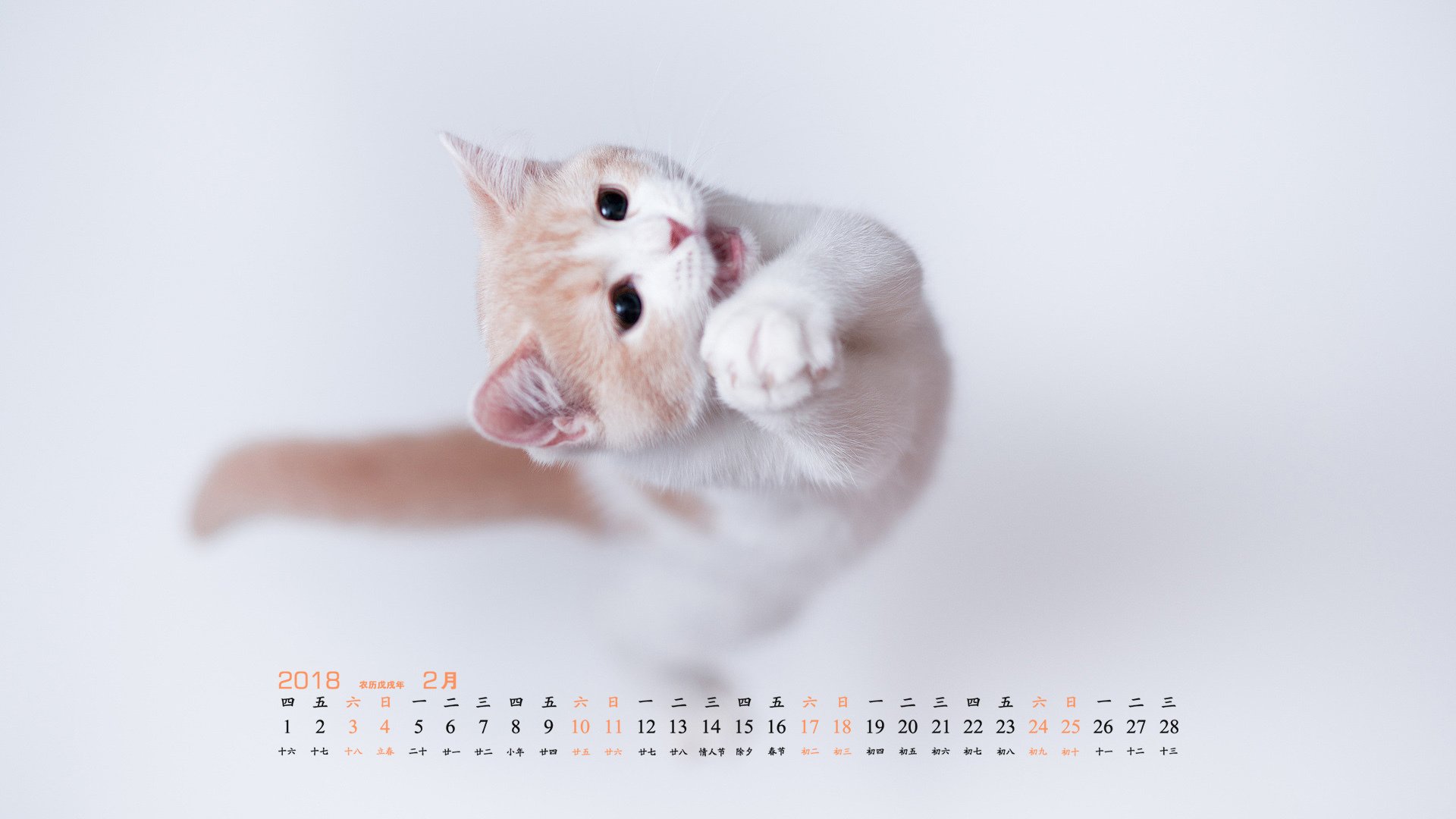 月历,2018年2月