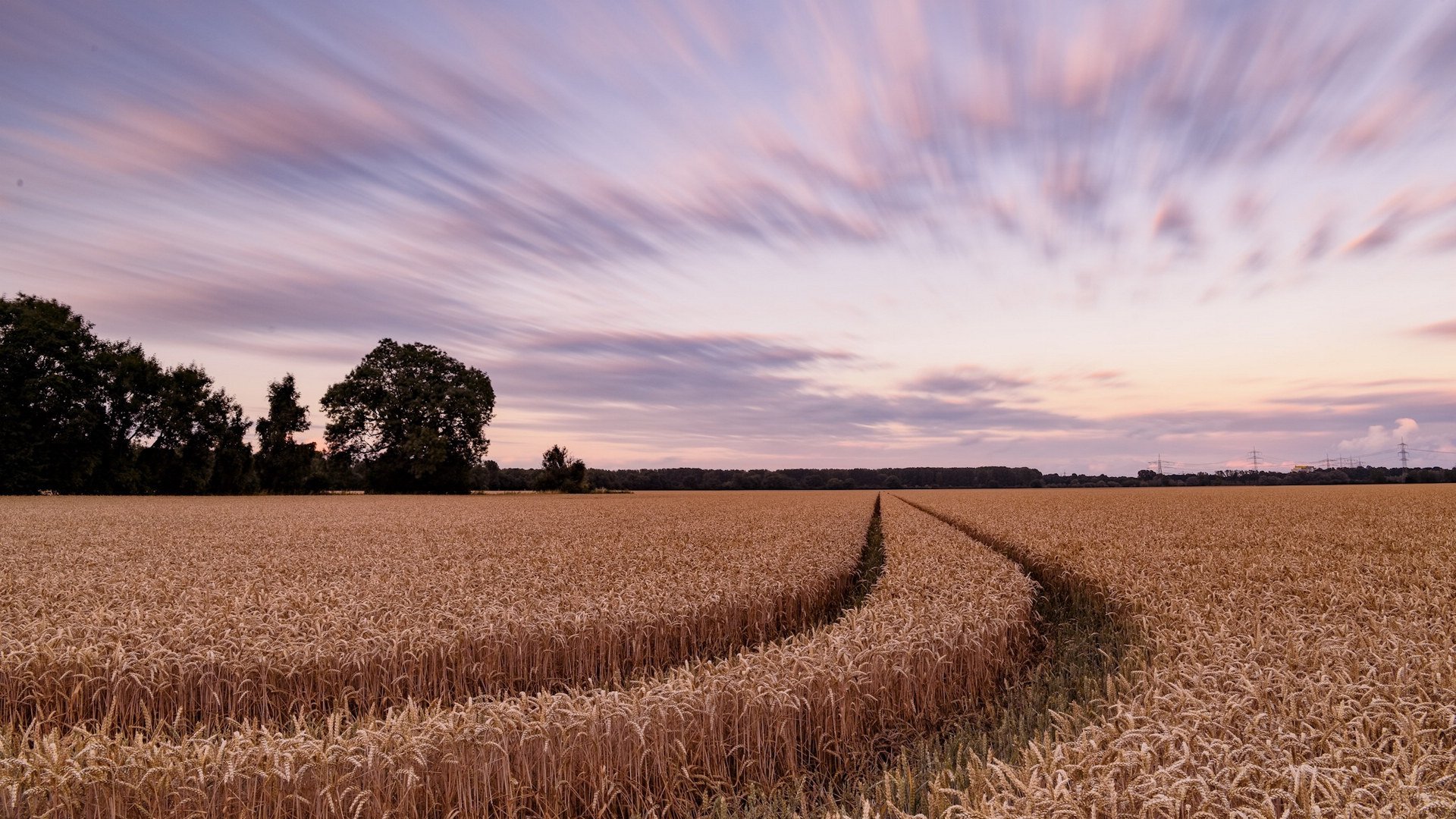 风景,自然风光,田野