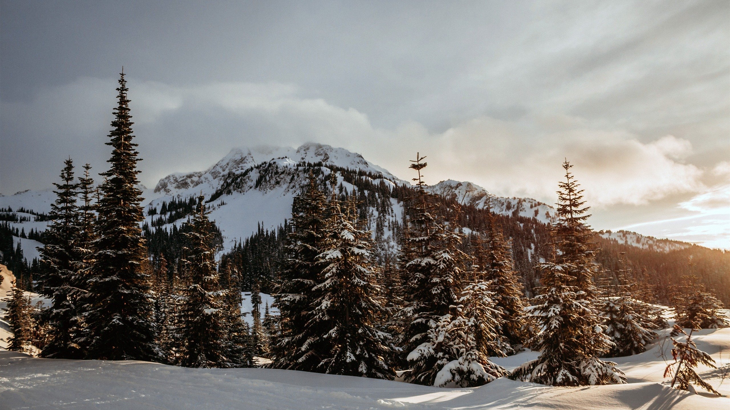 风景,冰天雪地,雪景