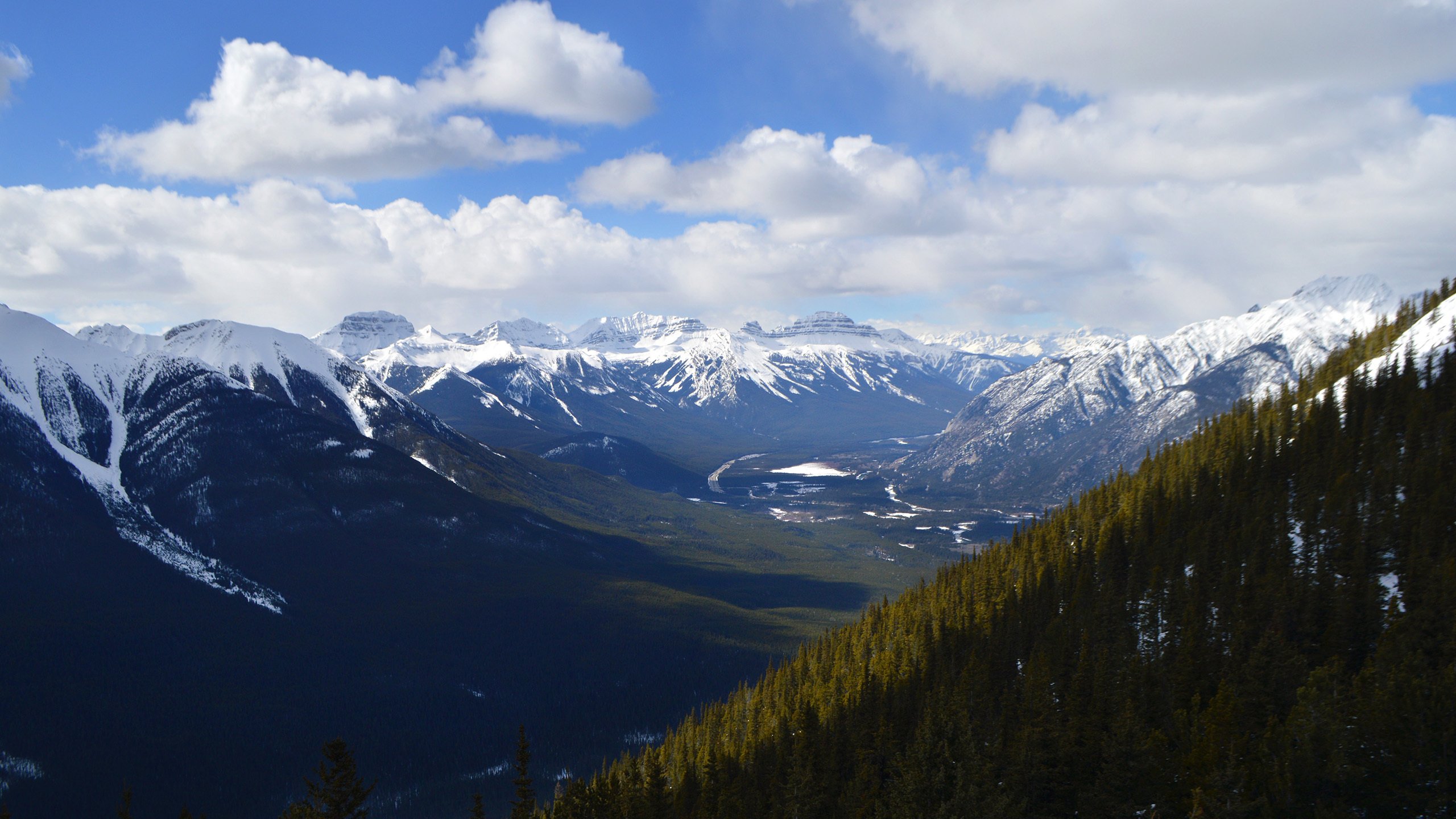 风景,自然风光,森林