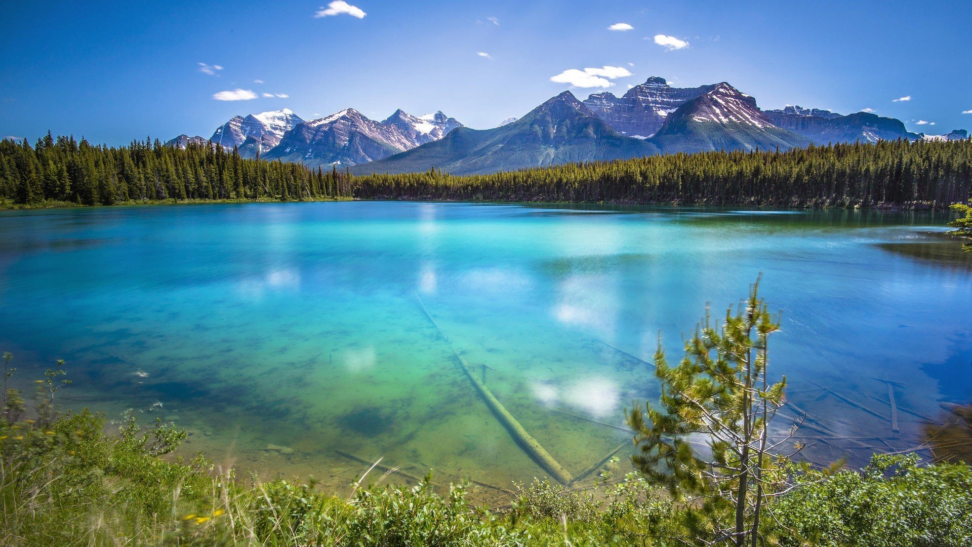 风景,自然风光,湖泊,森林