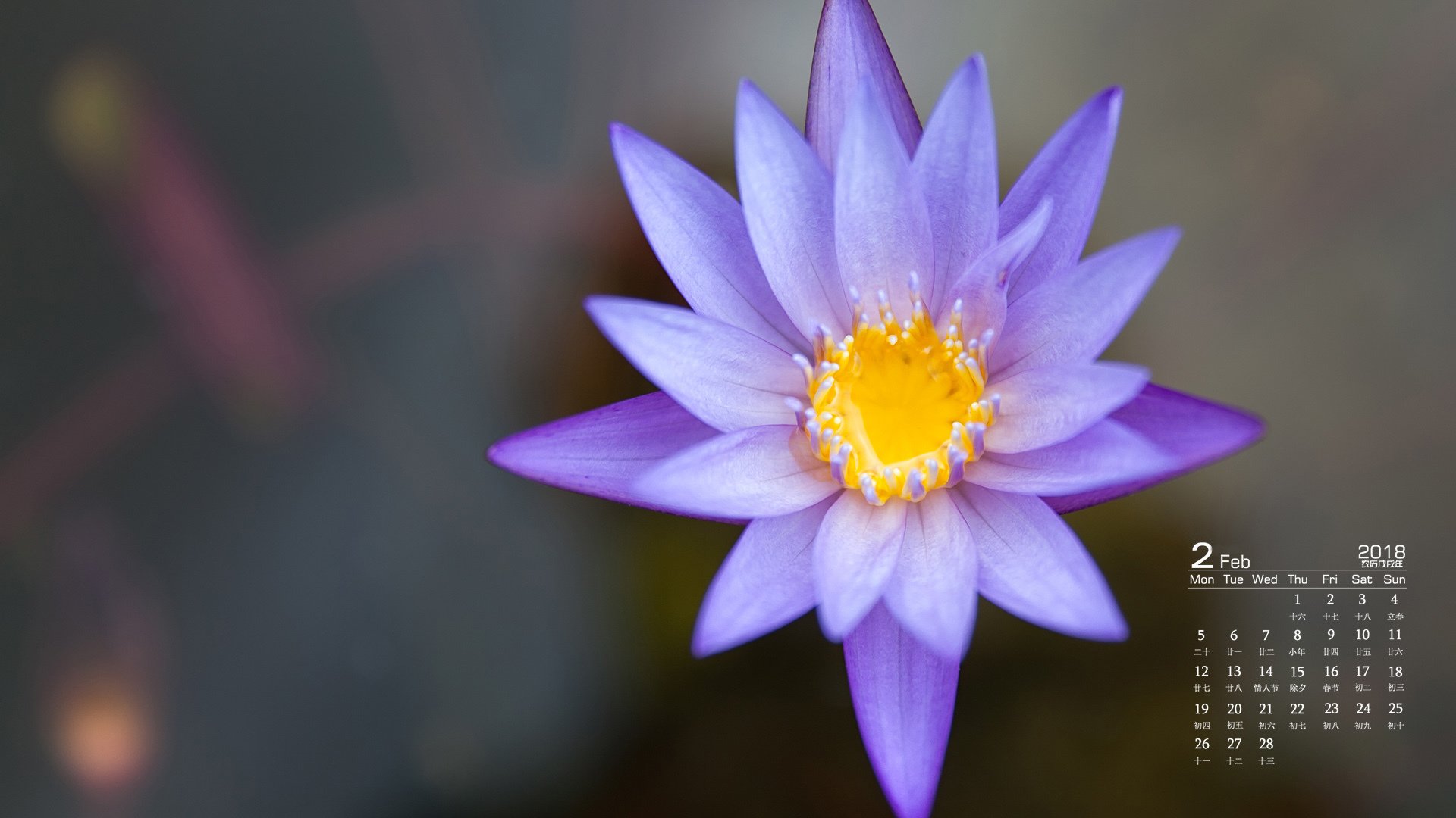 月历,2018年2月