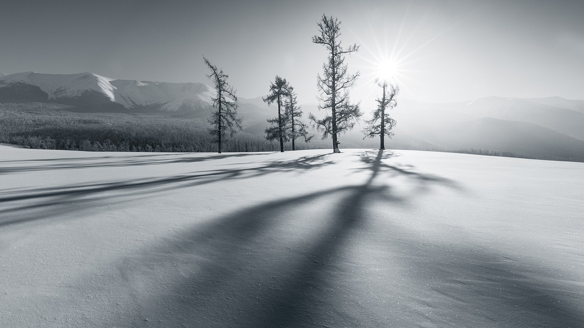 风景,冰天雪地,雪景