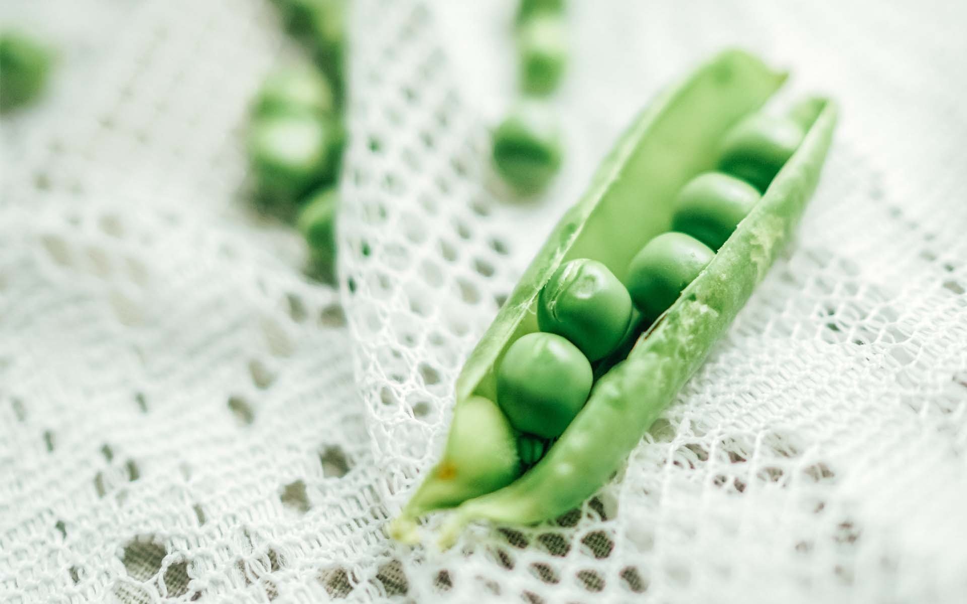 小清新,静物写真