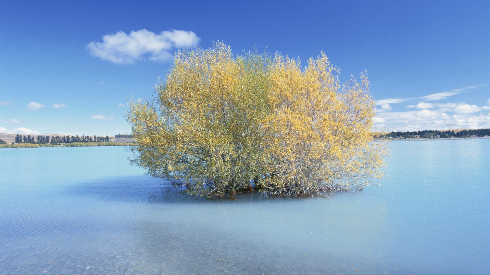 风景,湖泊,蓝天白云