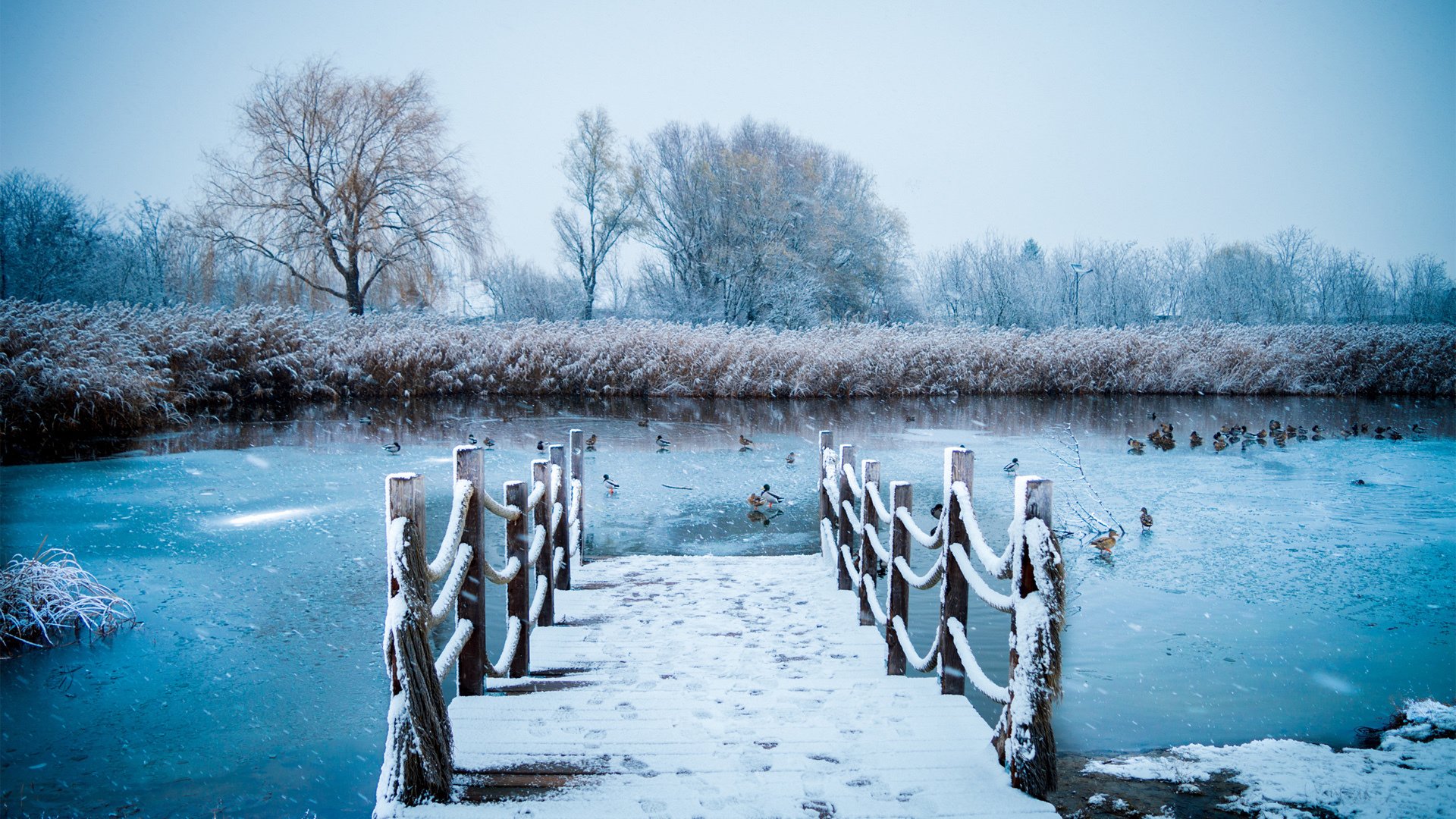 风景,冰天雪地,雪景,栈桥
