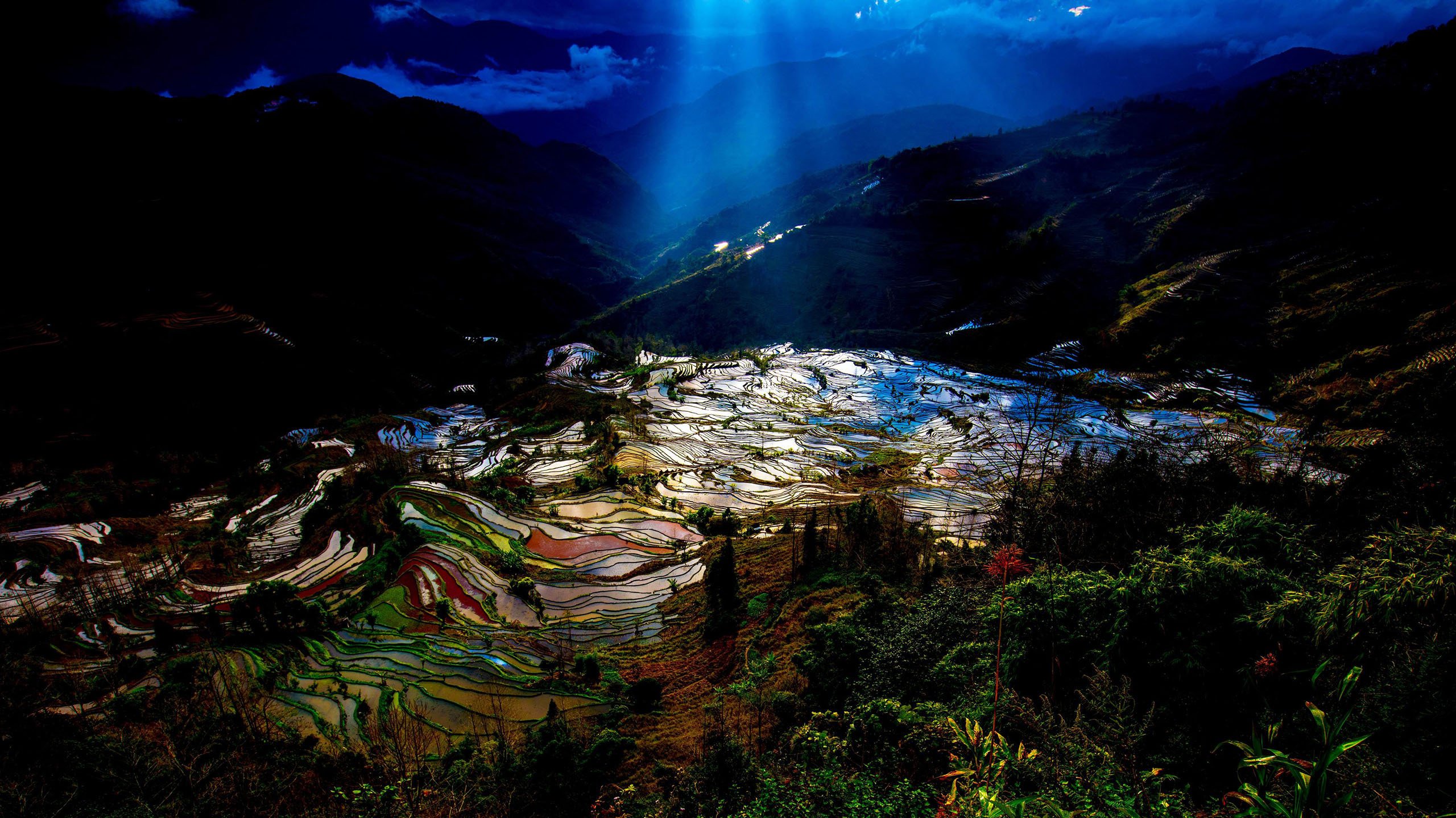 风景,自然风光,元阳梯田,田野,云南