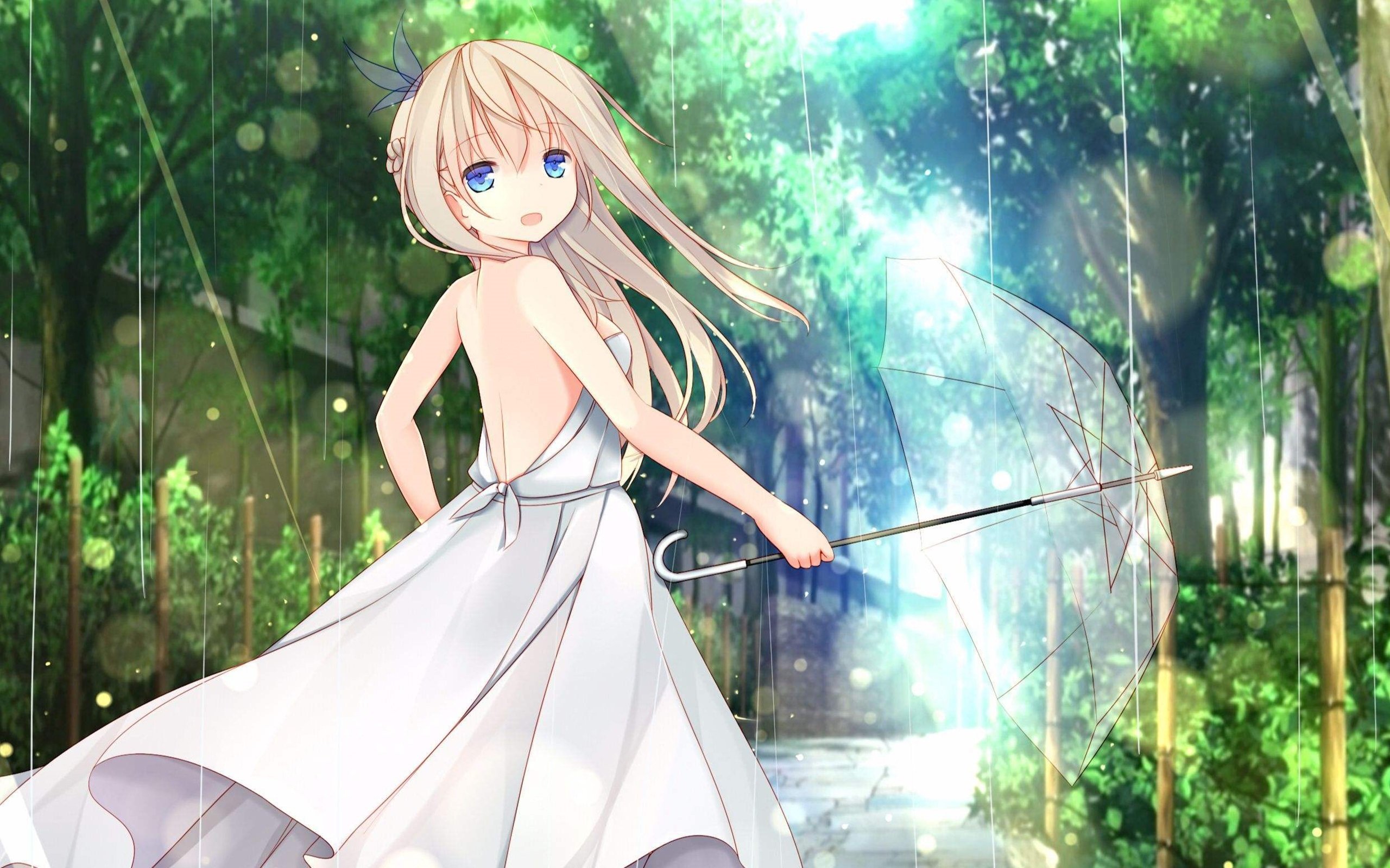 动漫,战舰少女R