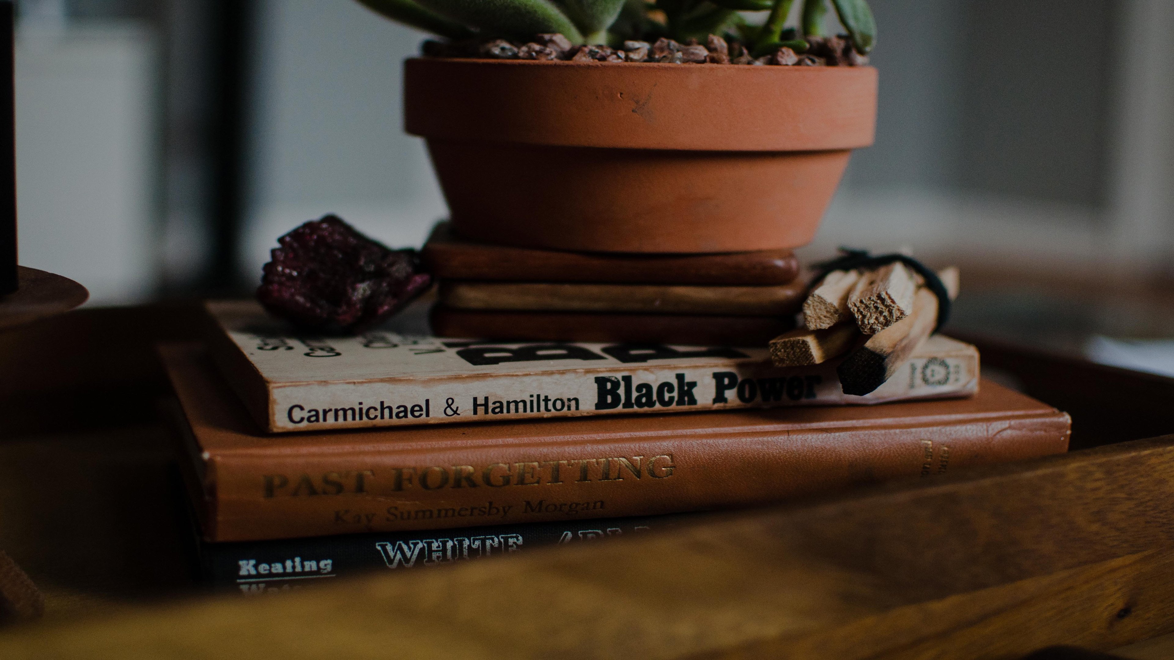 4K,小清新,盆栽,静物写真