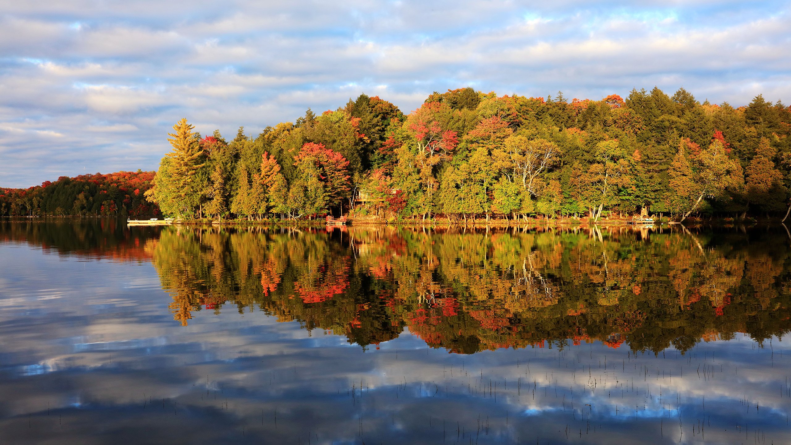 风景,自然风光,湖泊,河流,森林