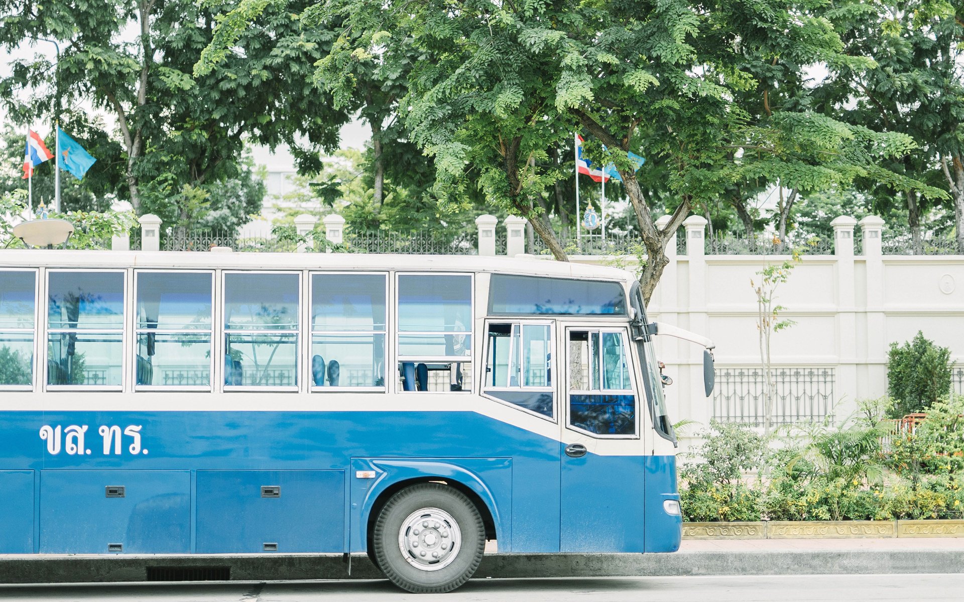 小清新,静物写真