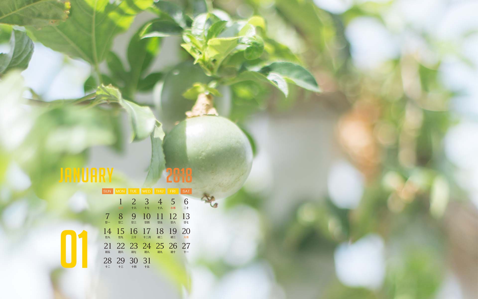 月历,2018年1月