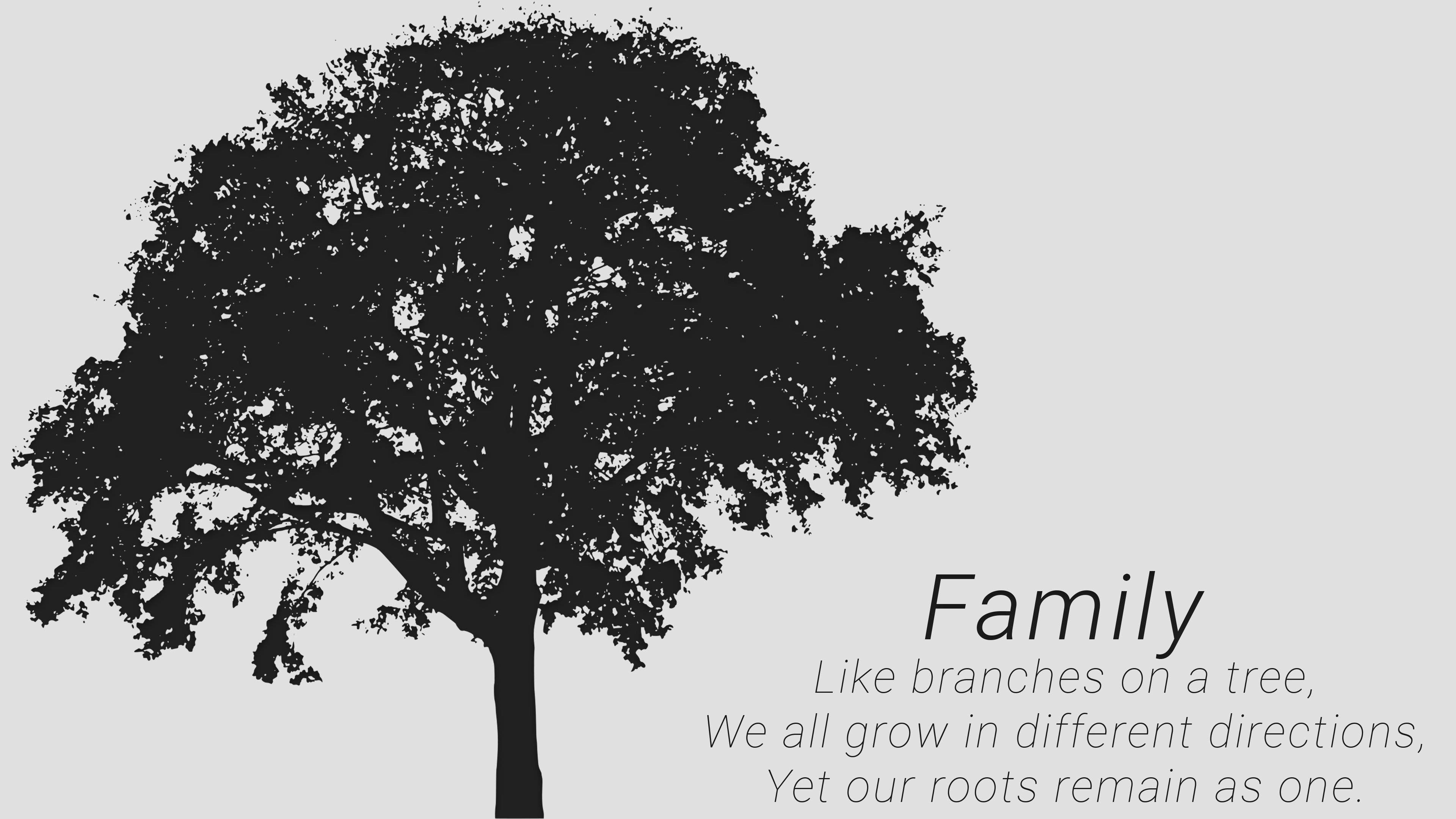 文字,4k,英文,family