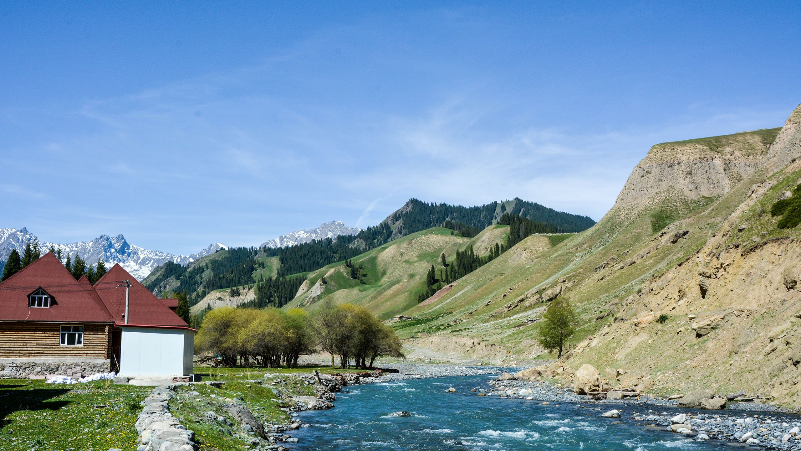 风景,自然风光,新疆科克尔斯陶牧区,溪流