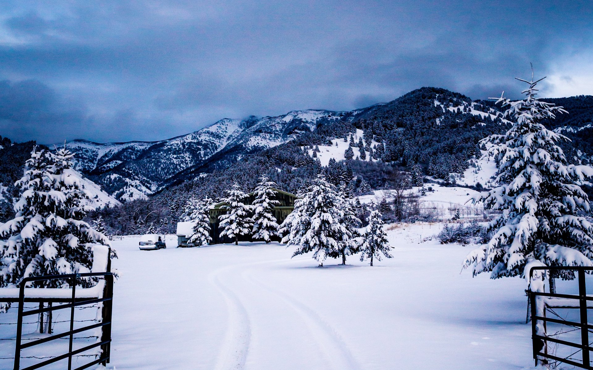 风景,冰天雪地,雪景