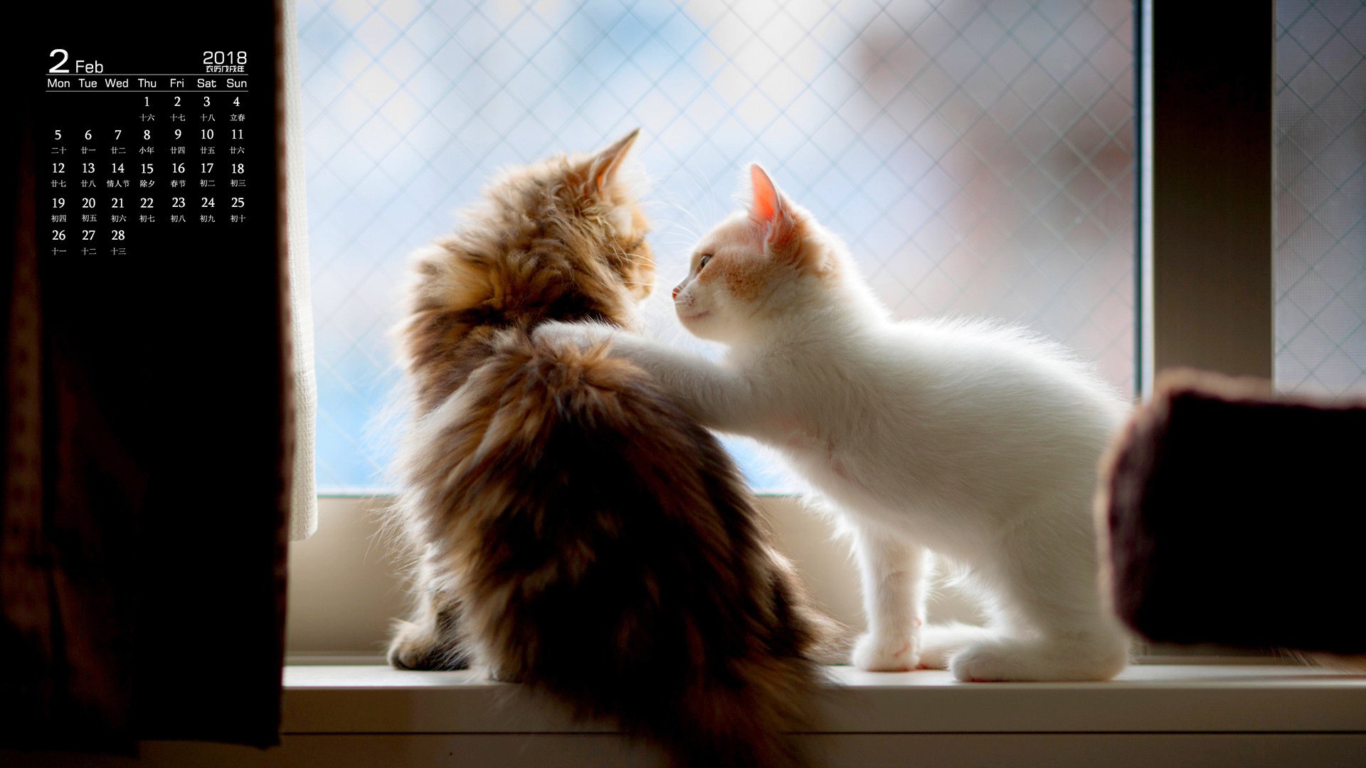 月历,2018年2月