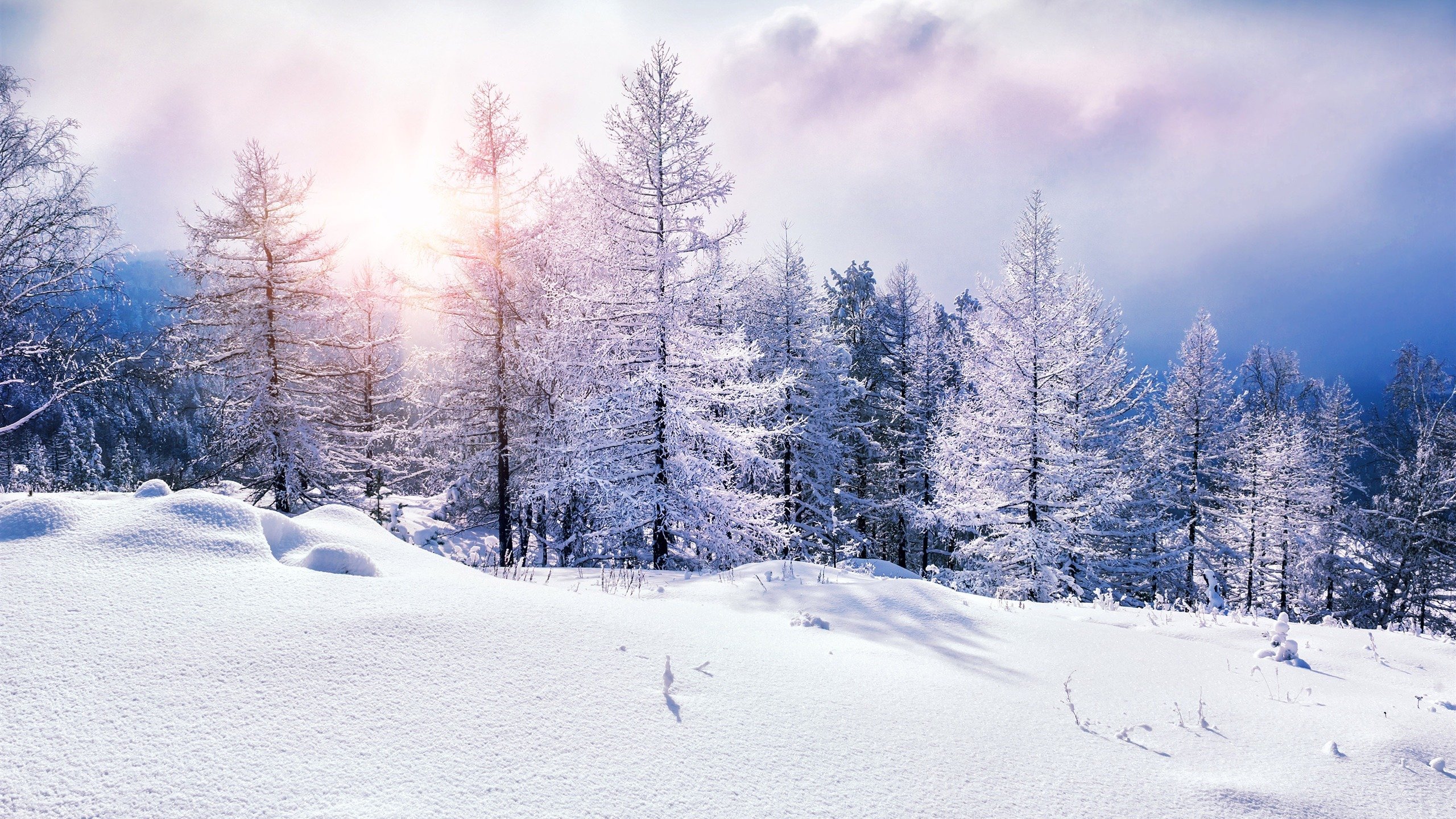 风景,2K,冰天雪地,雪景