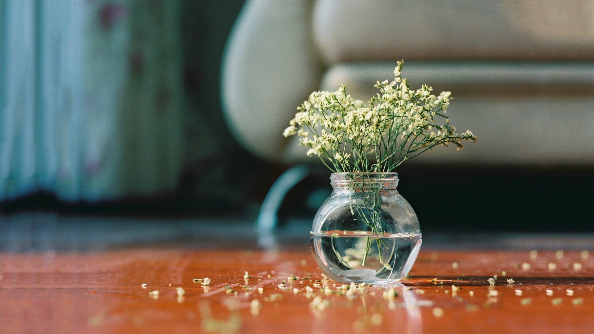 小清新,鸟语花香,植物,插花