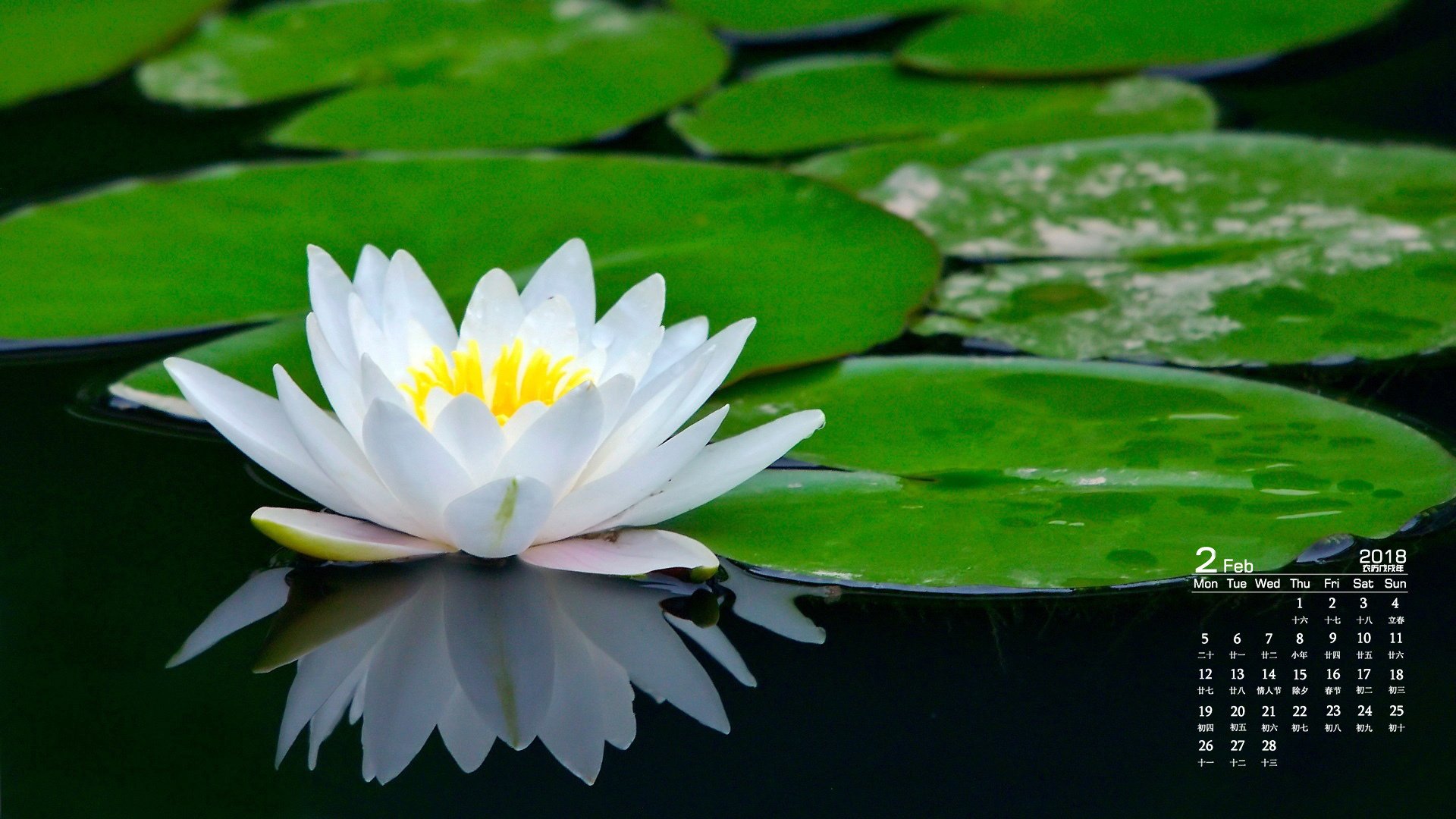 月历,2018年2月