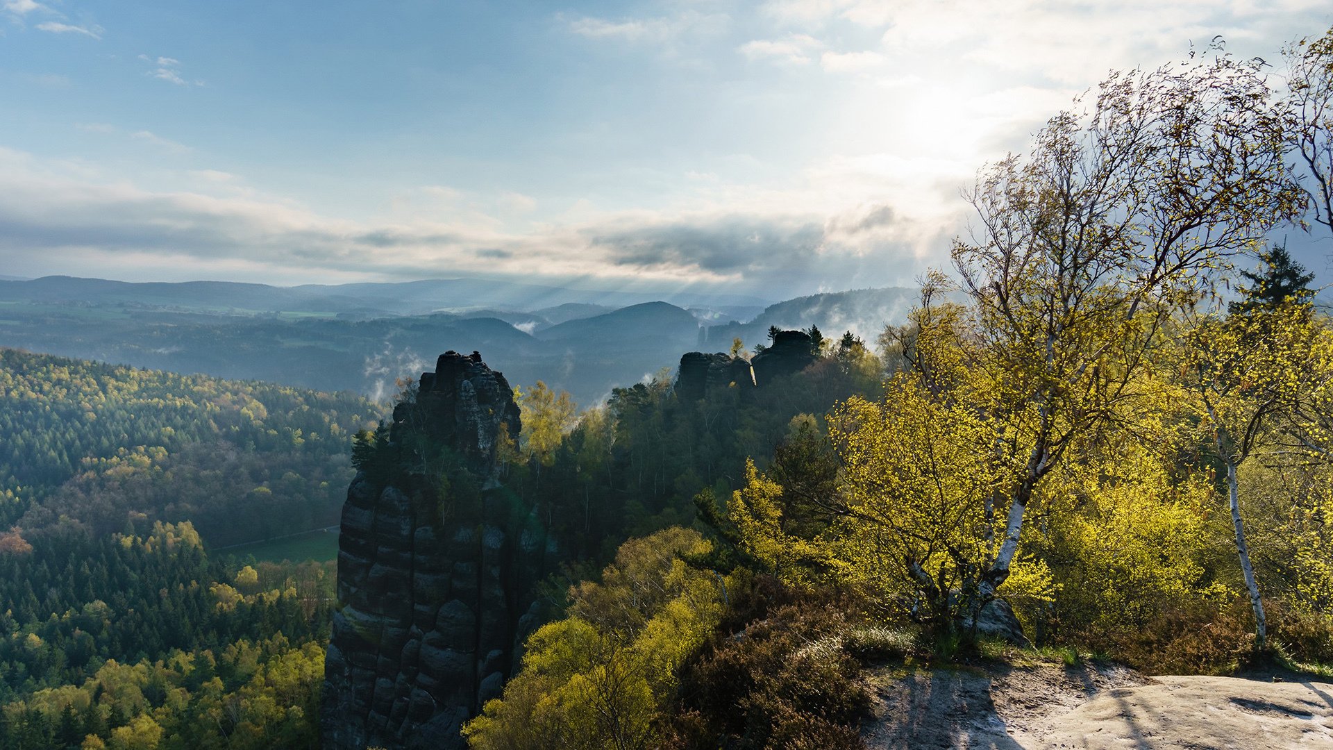 风景,自然风光,山峰,森林
