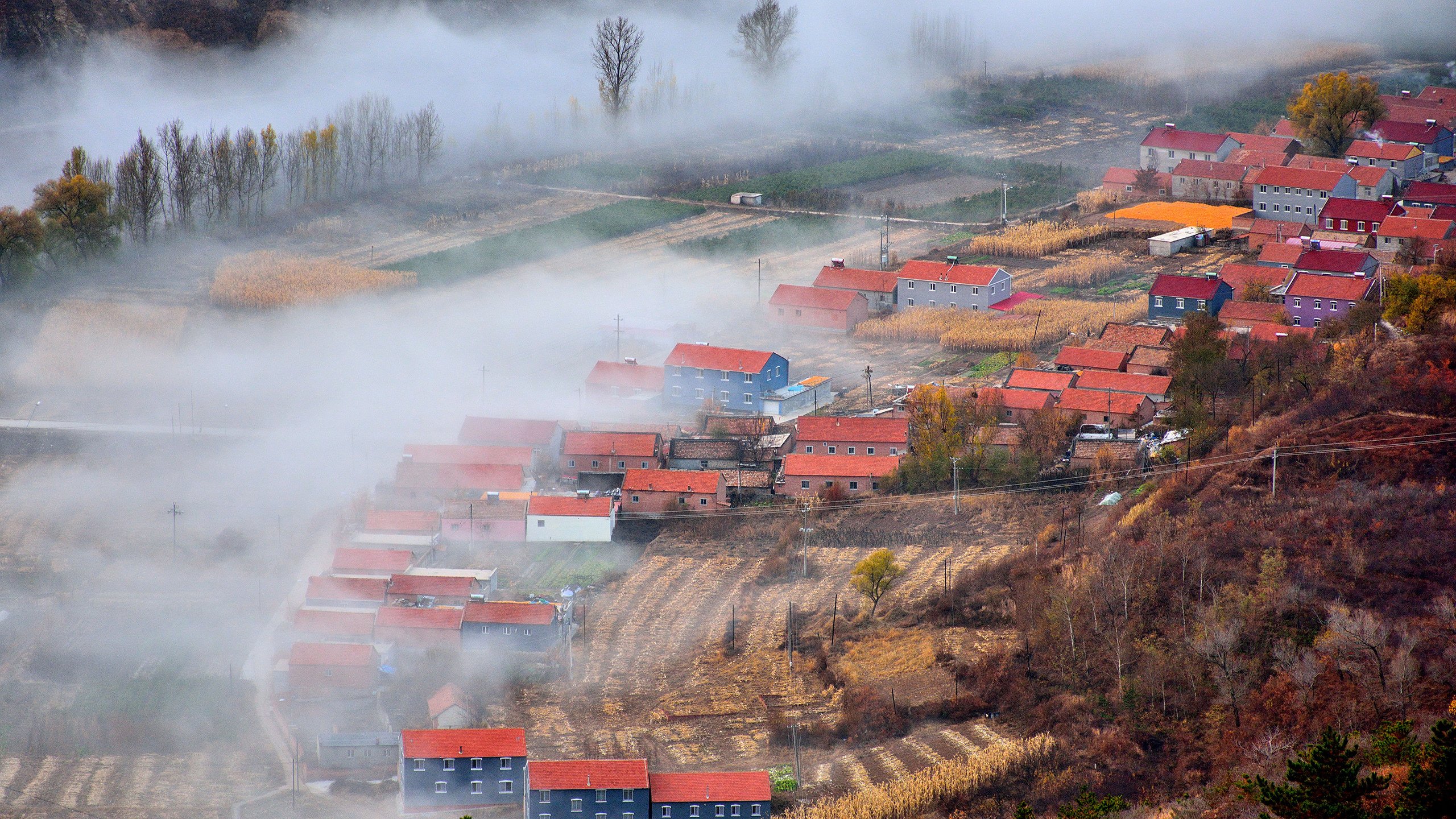 风景,云雾,村庄