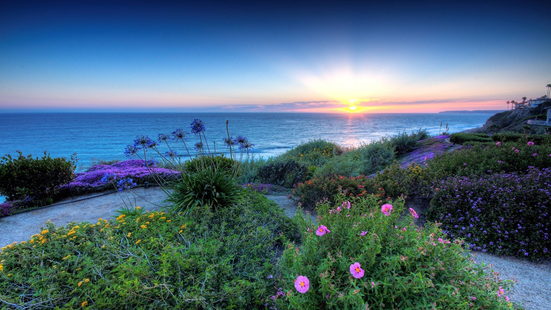 风景,大海,倒影