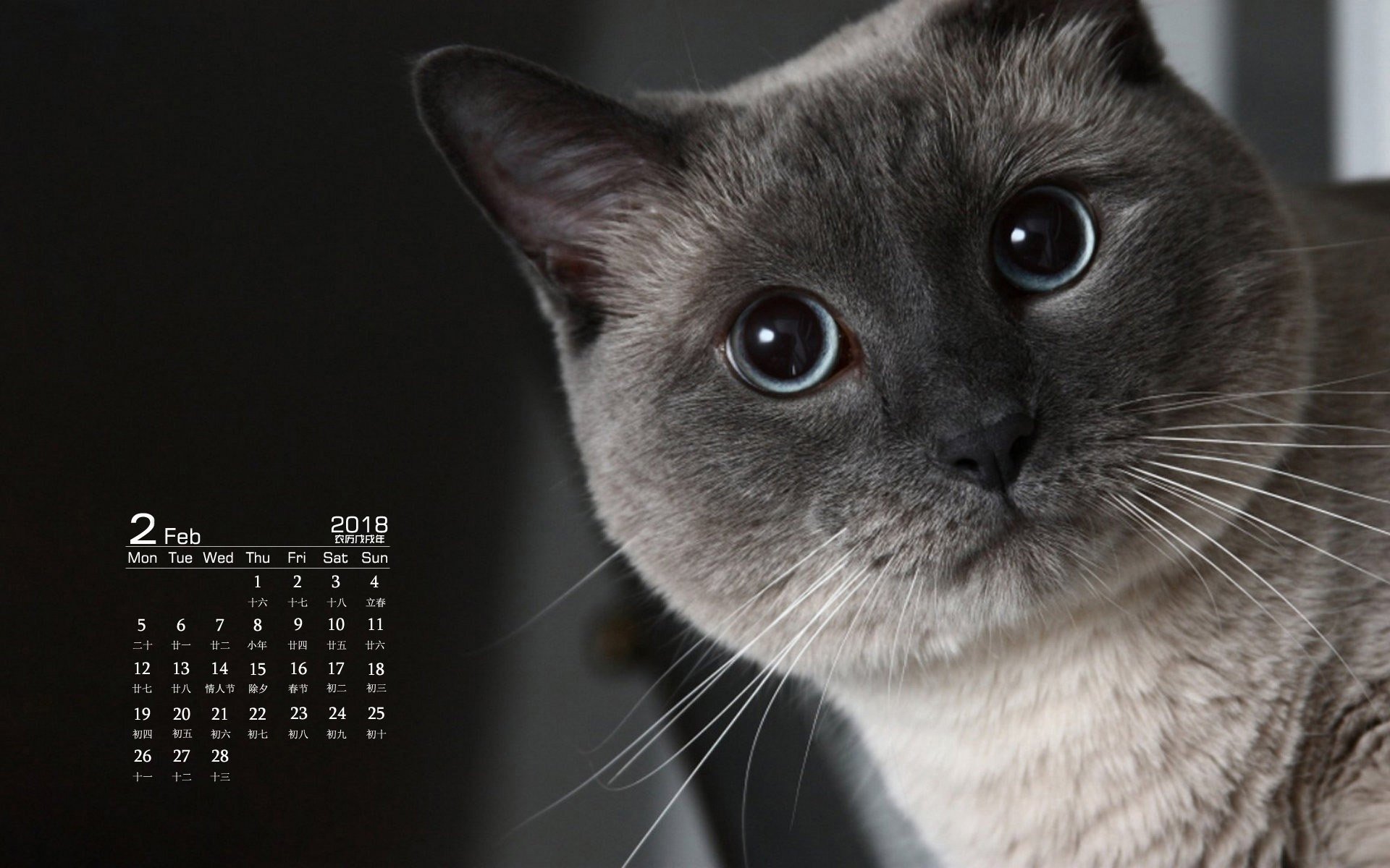 月历,2018年2月
