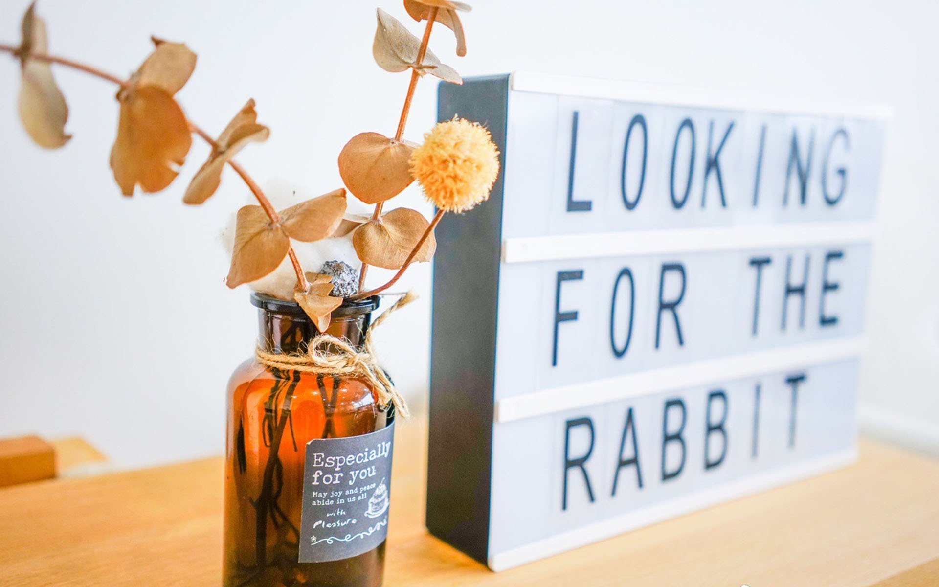 小清新,温馨一刻