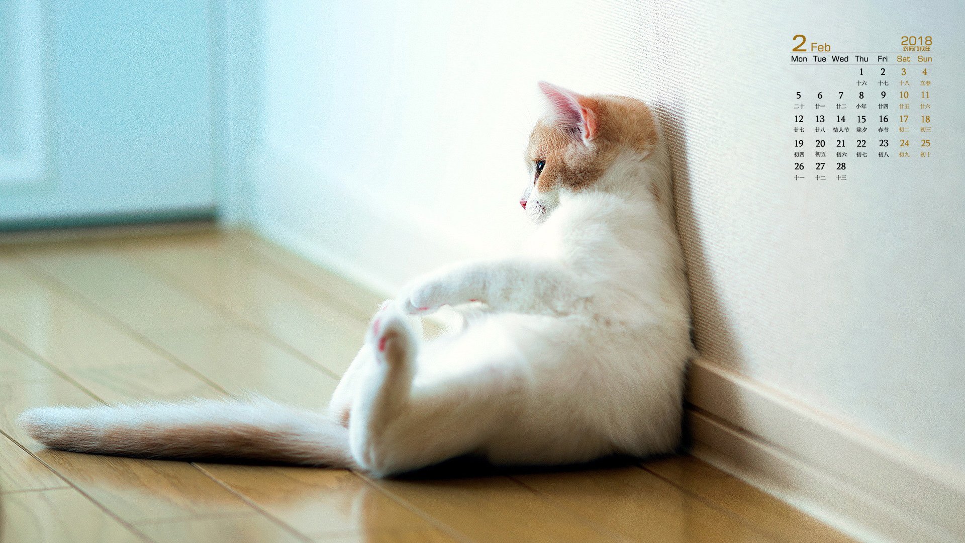 月历,2018年2月