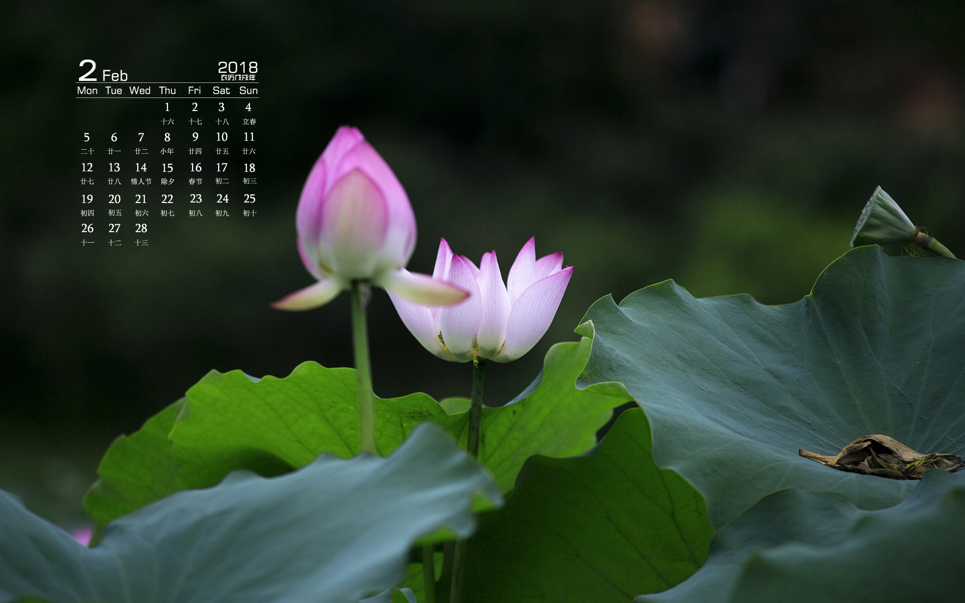 月历,2018年2月