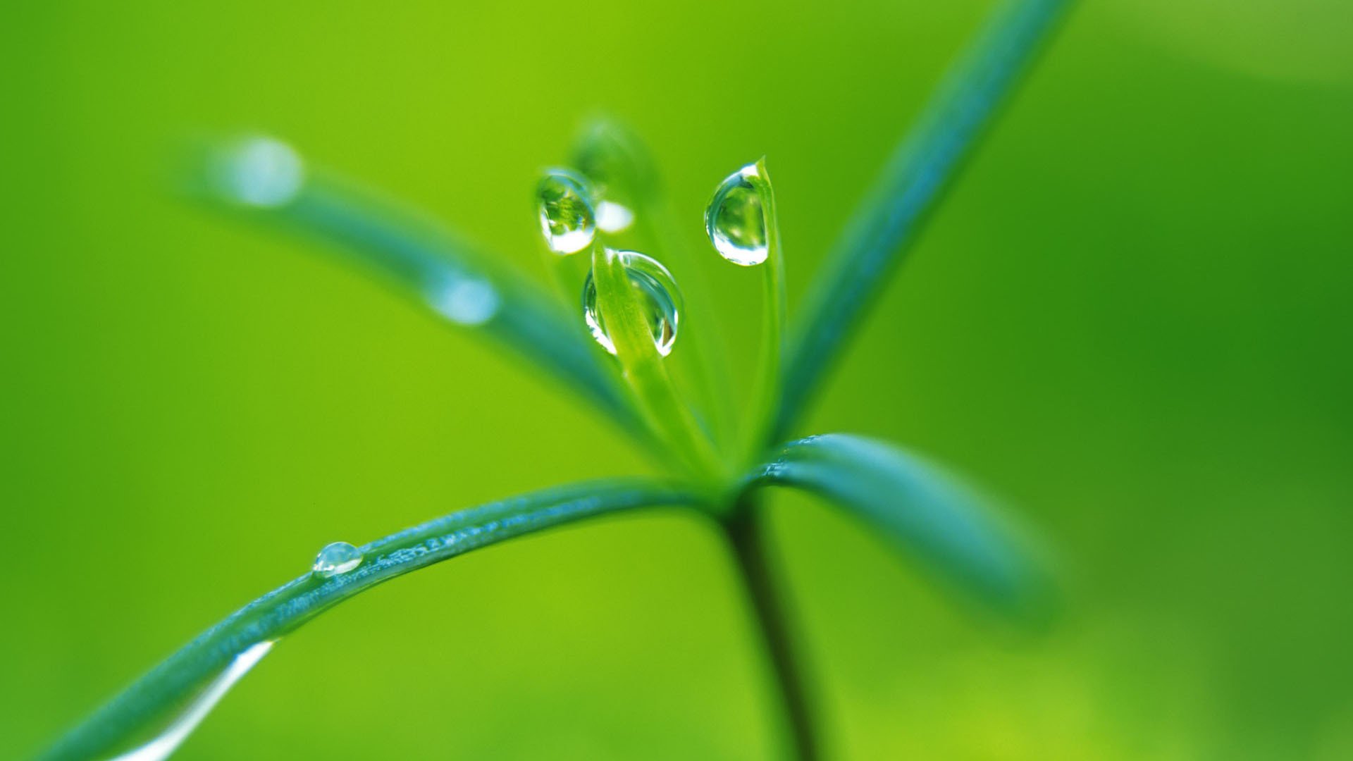 小清新,护眼壁纸