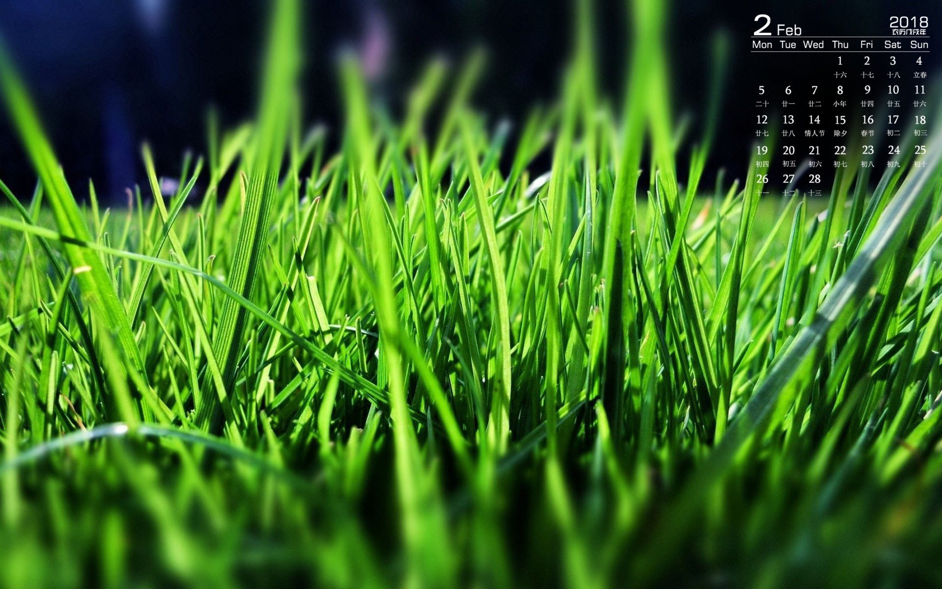 月历,2018年2月