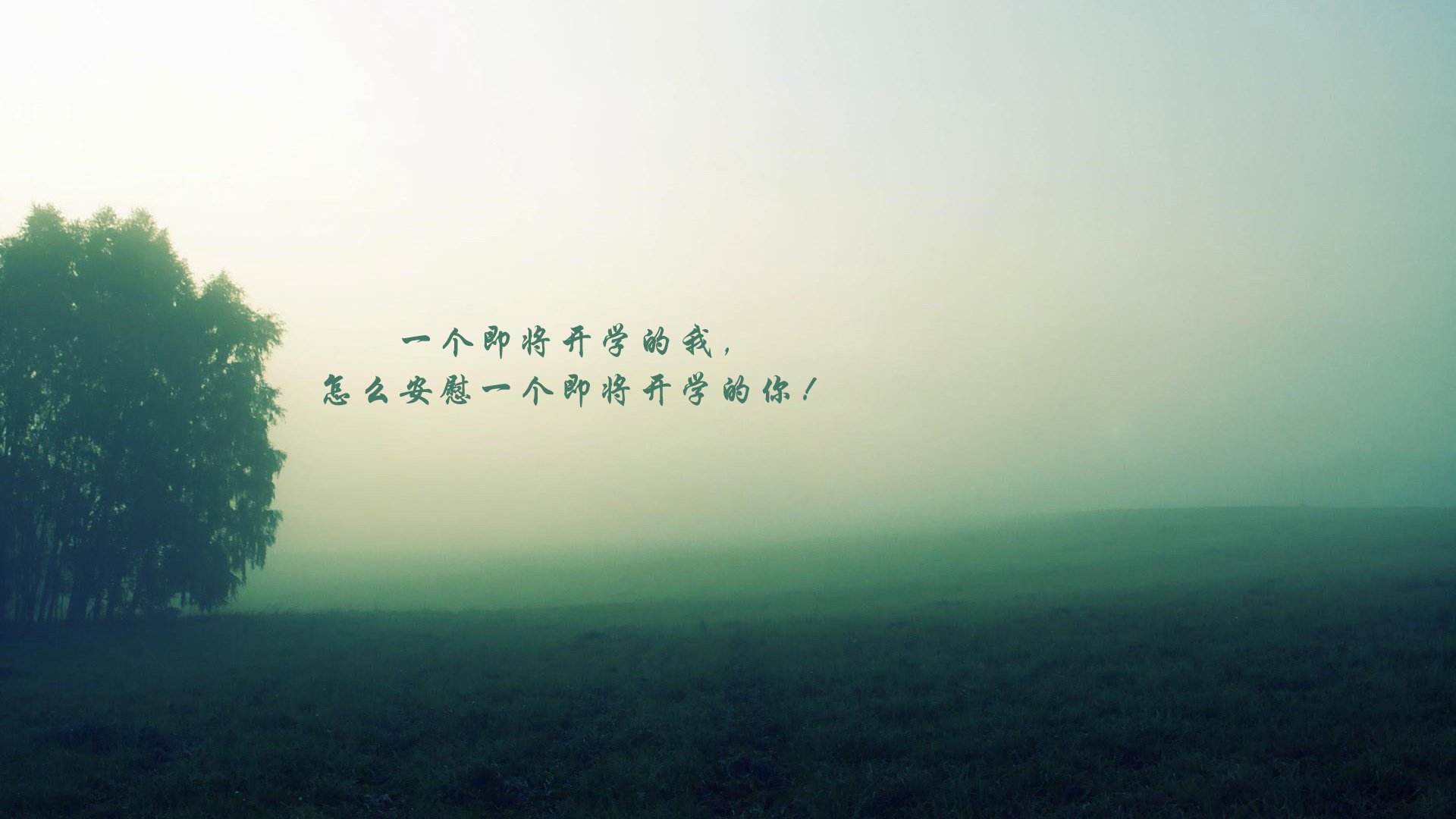 文字,开学,风景