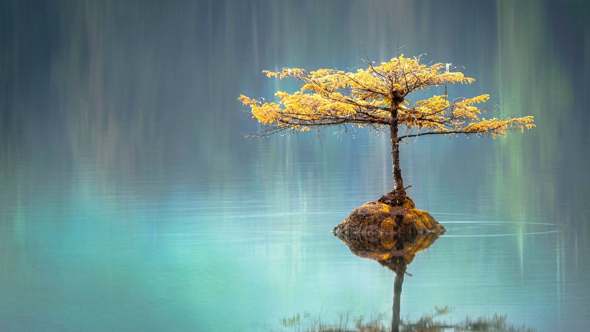 风景,湖泊,倒影