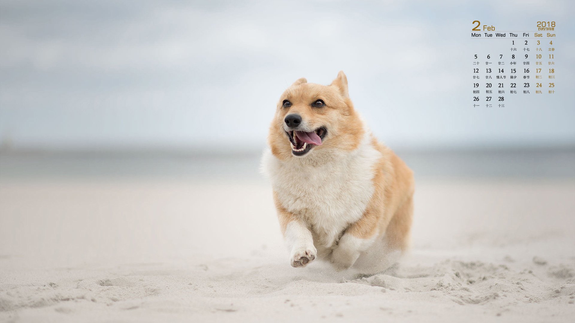 月历,2018年2月