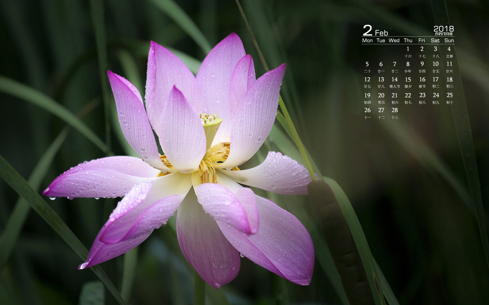 月历,2018年2月