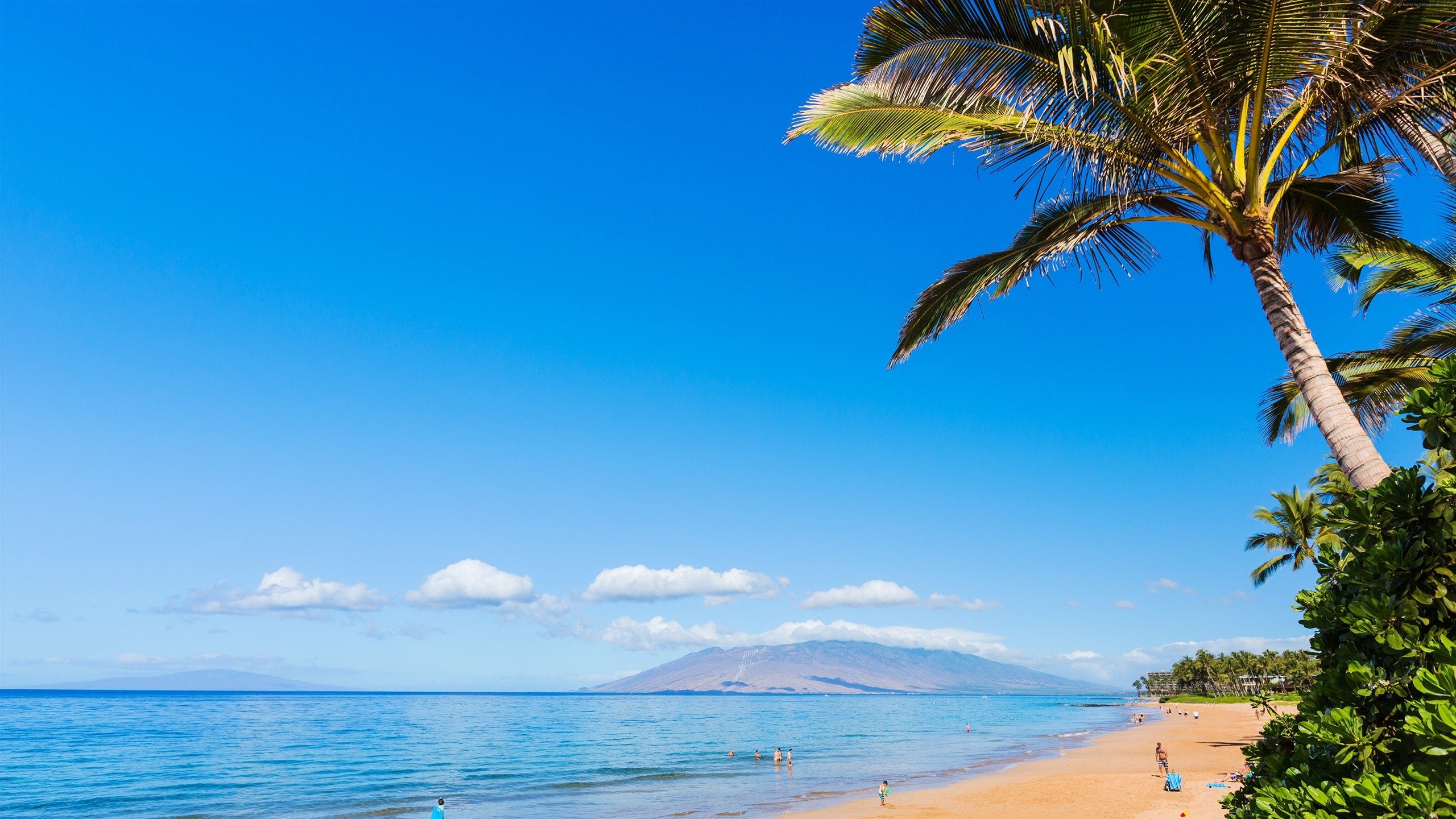 风景,海洋天堂,大海,沙滩,棕榈树
