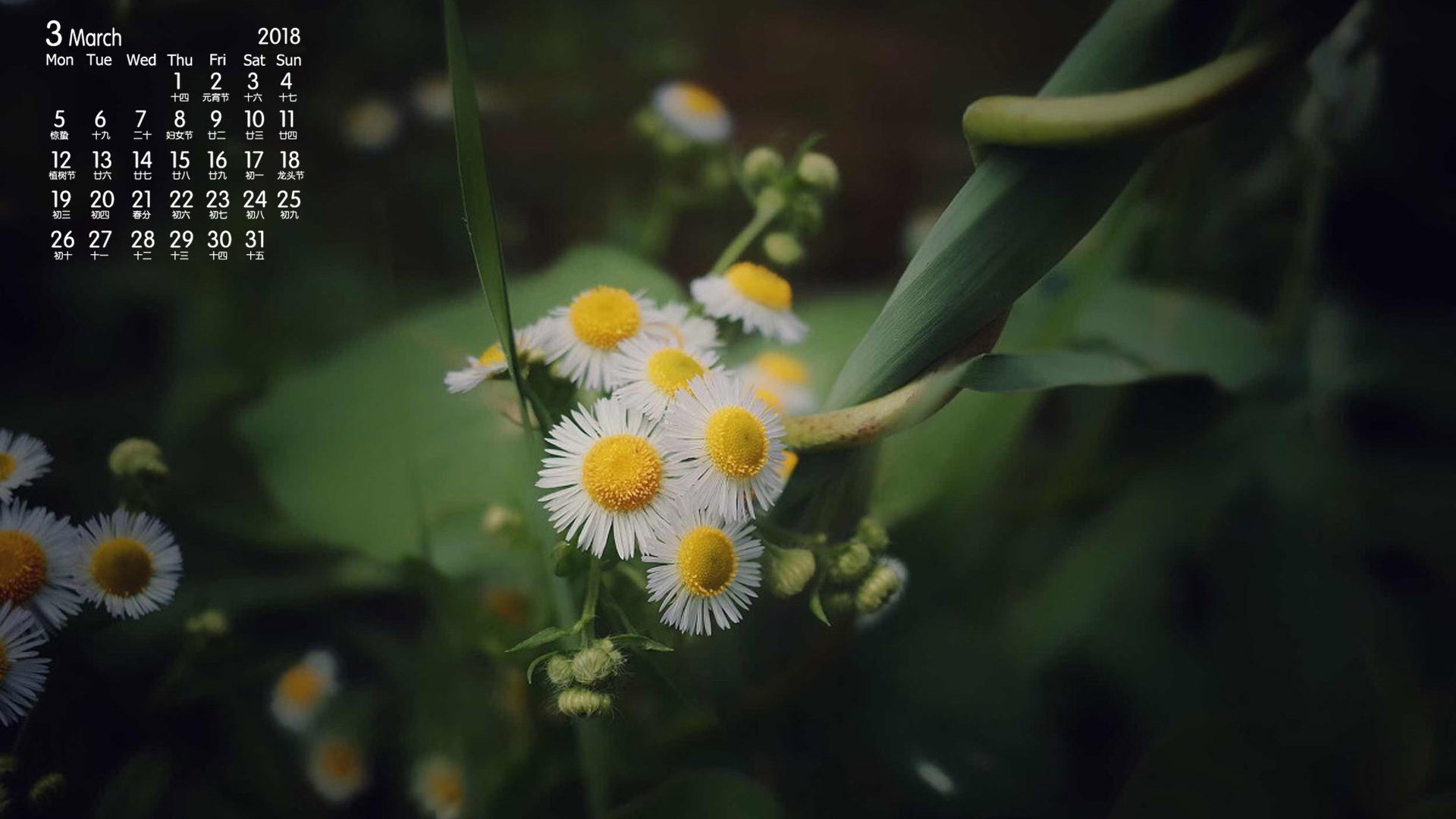 月历,2018年3月