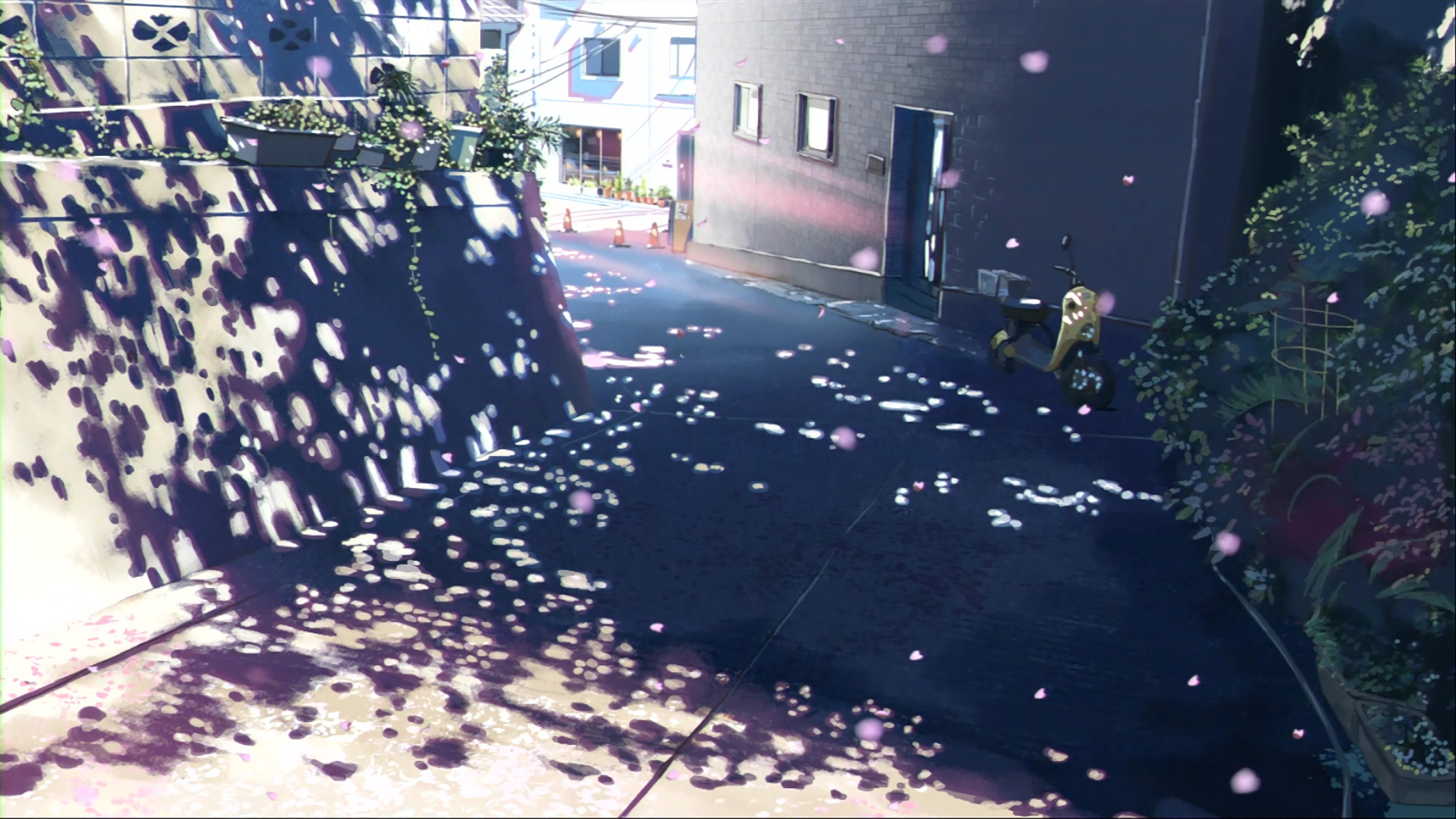 4K,动漫,风景,樱花,唯美