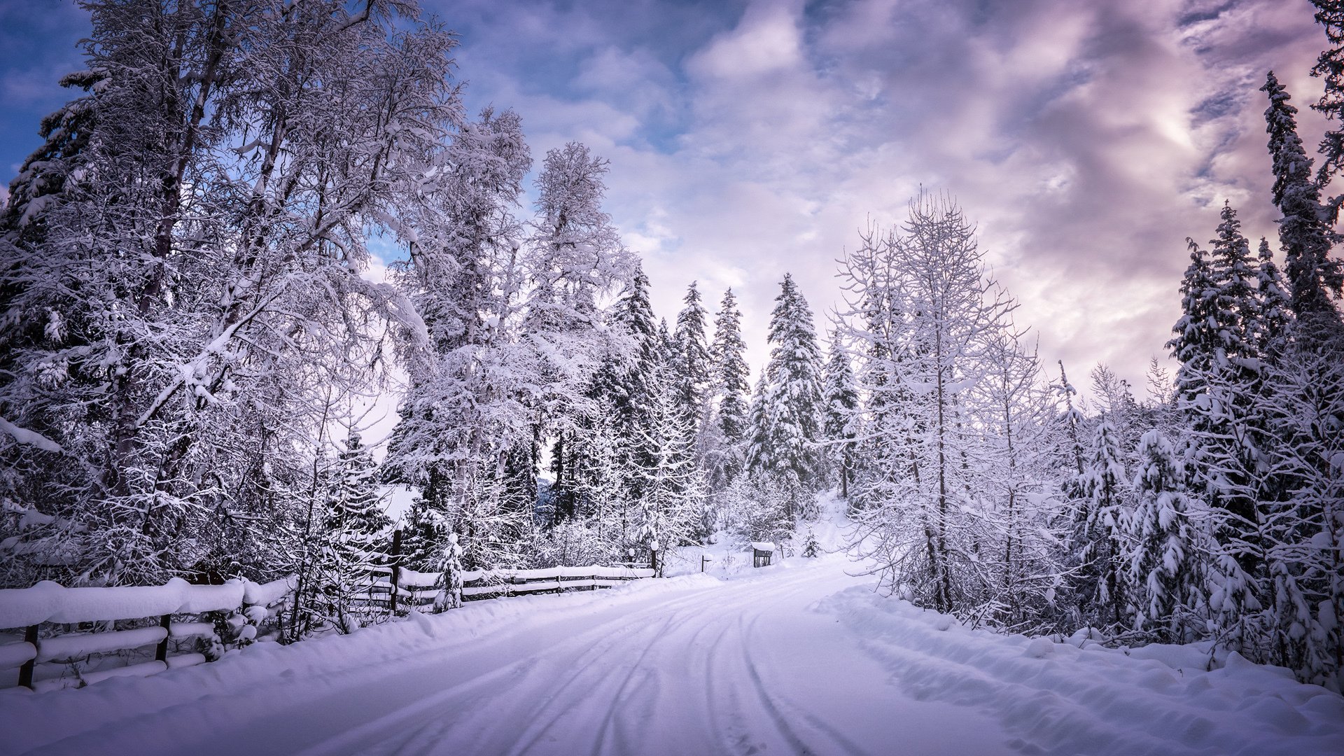 风景,冰天雪地,雪景