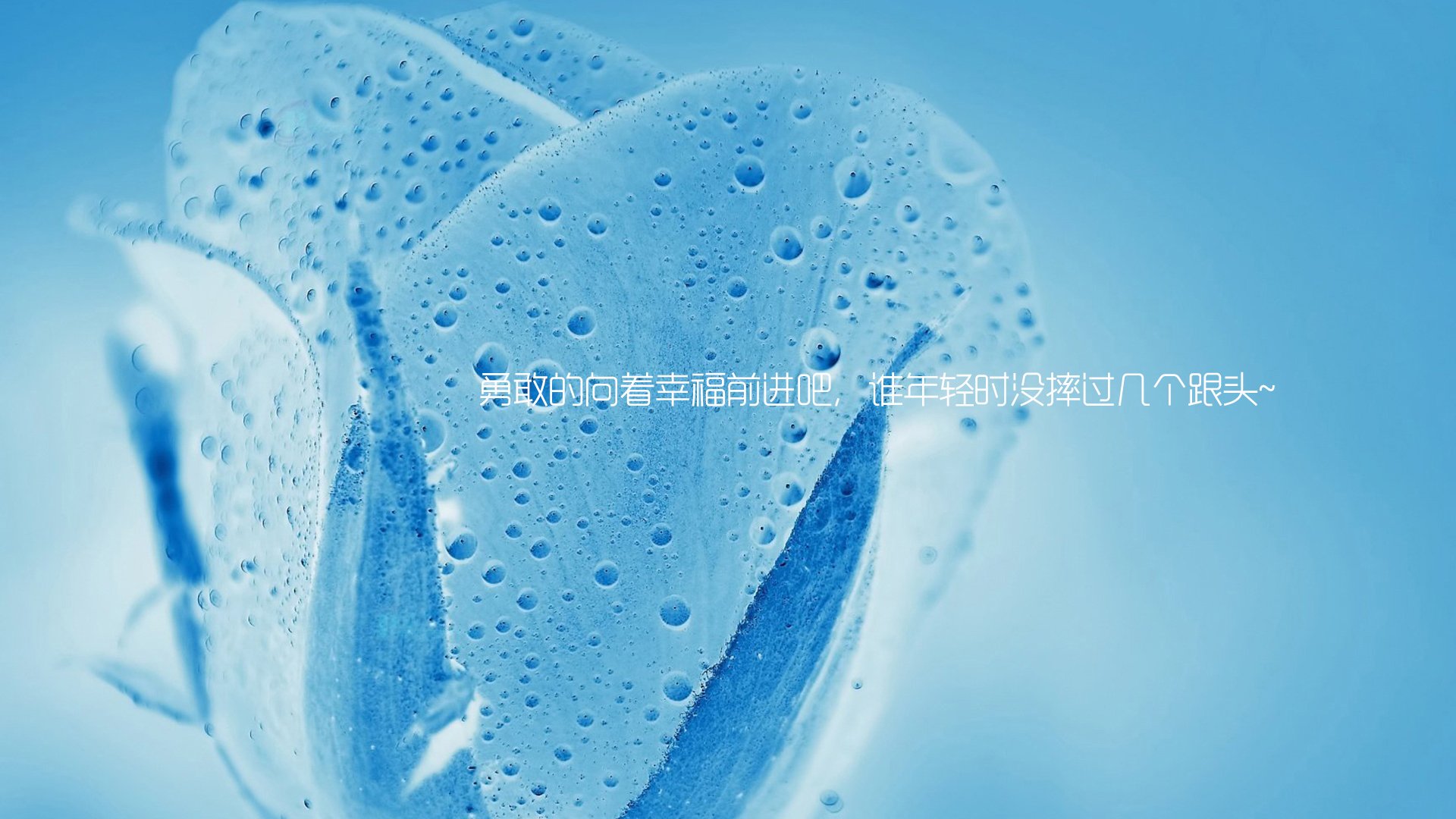 文字,勇敢,幸福