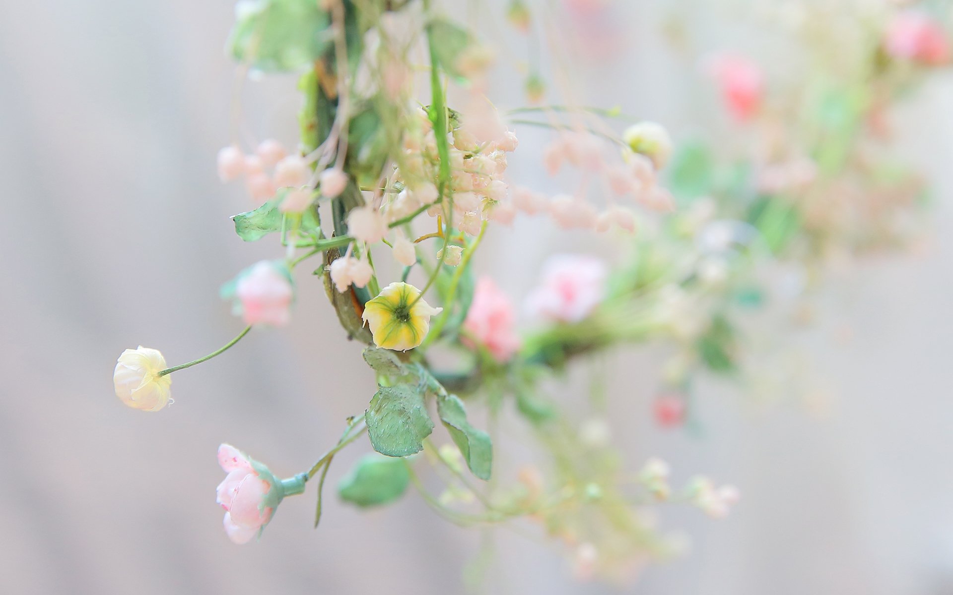 小清新,温馨一刻