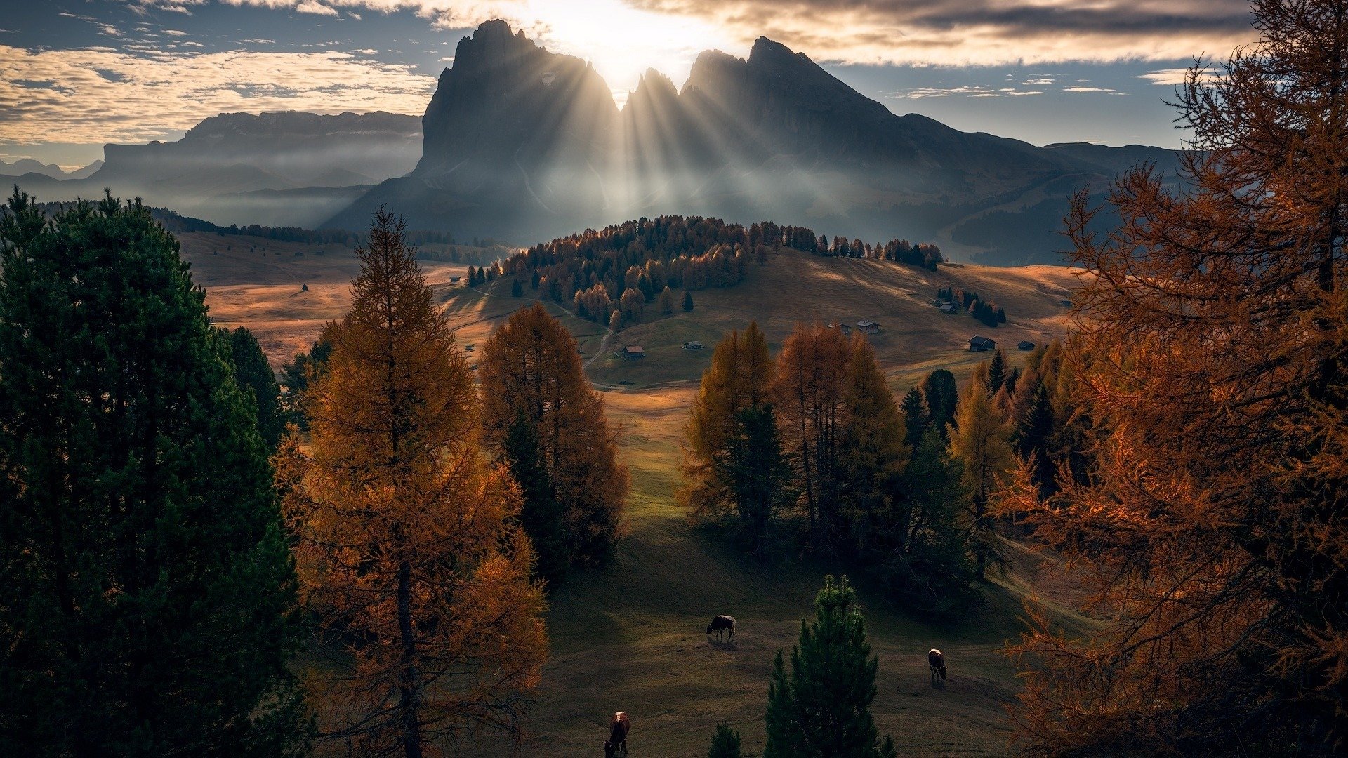风景,秋意正浓,秋季,森林,山林